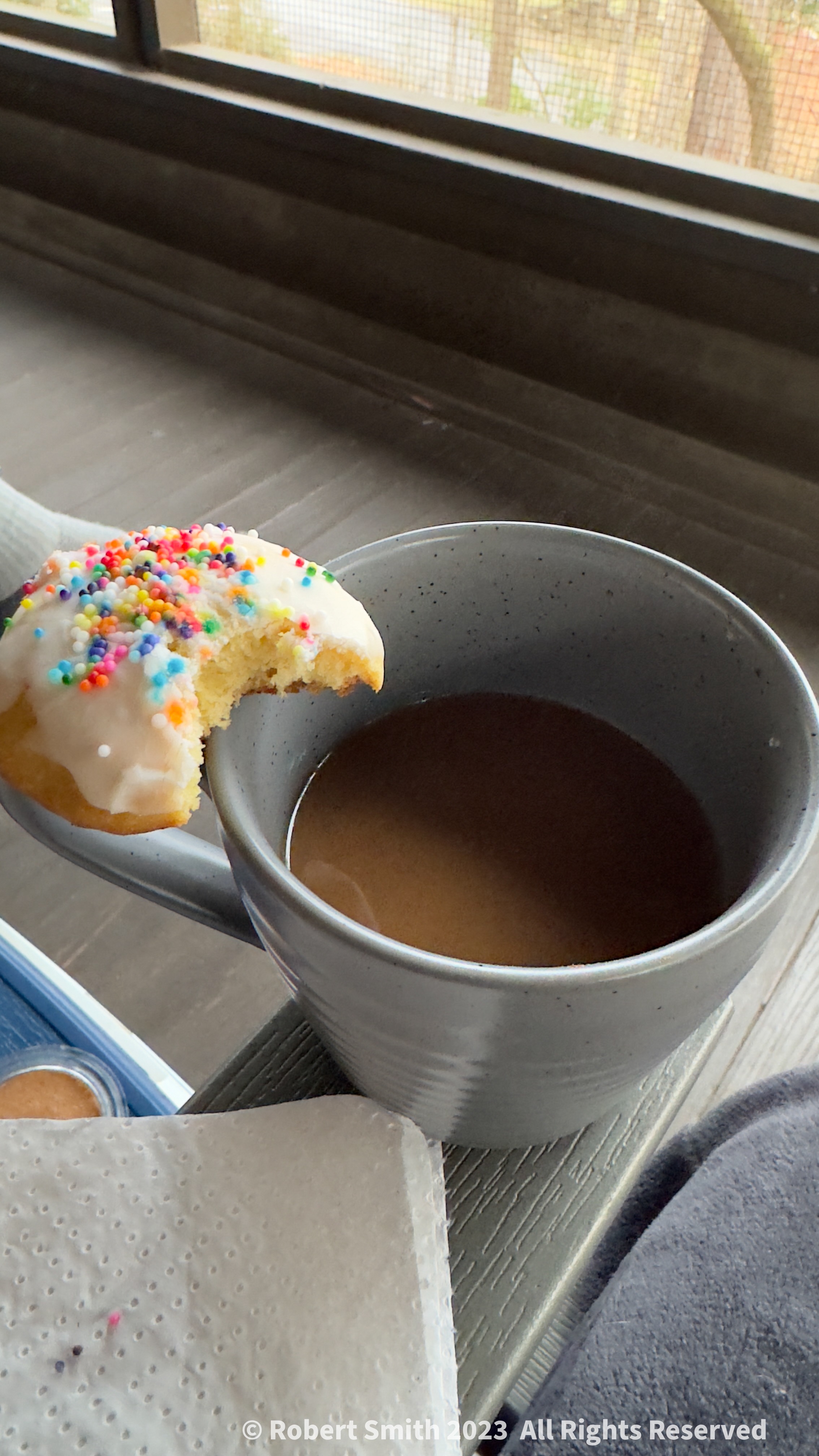 By Lake Delano, Cookies and Coffee