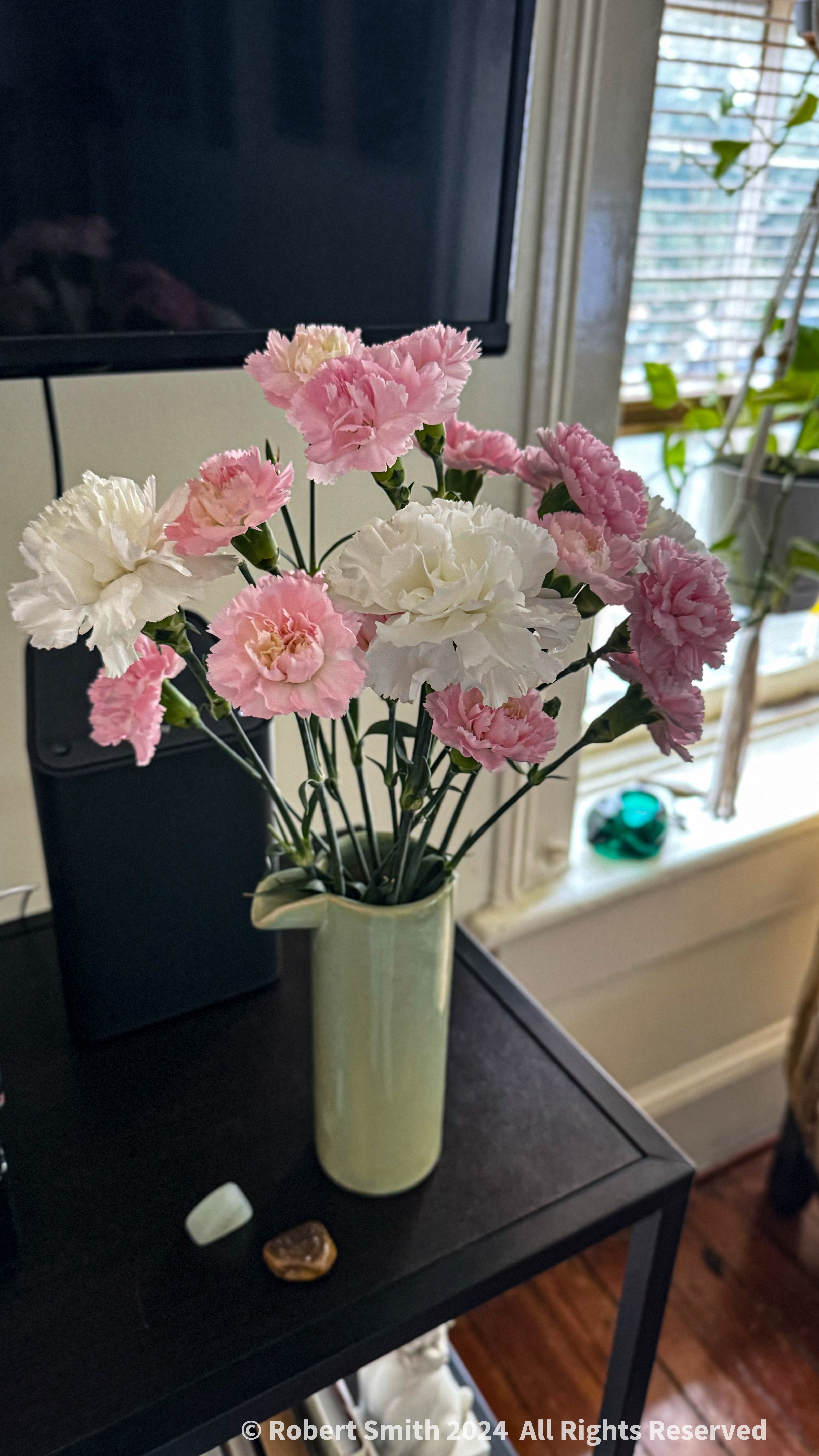 Sunday Flowers: Carnation Zen-sation