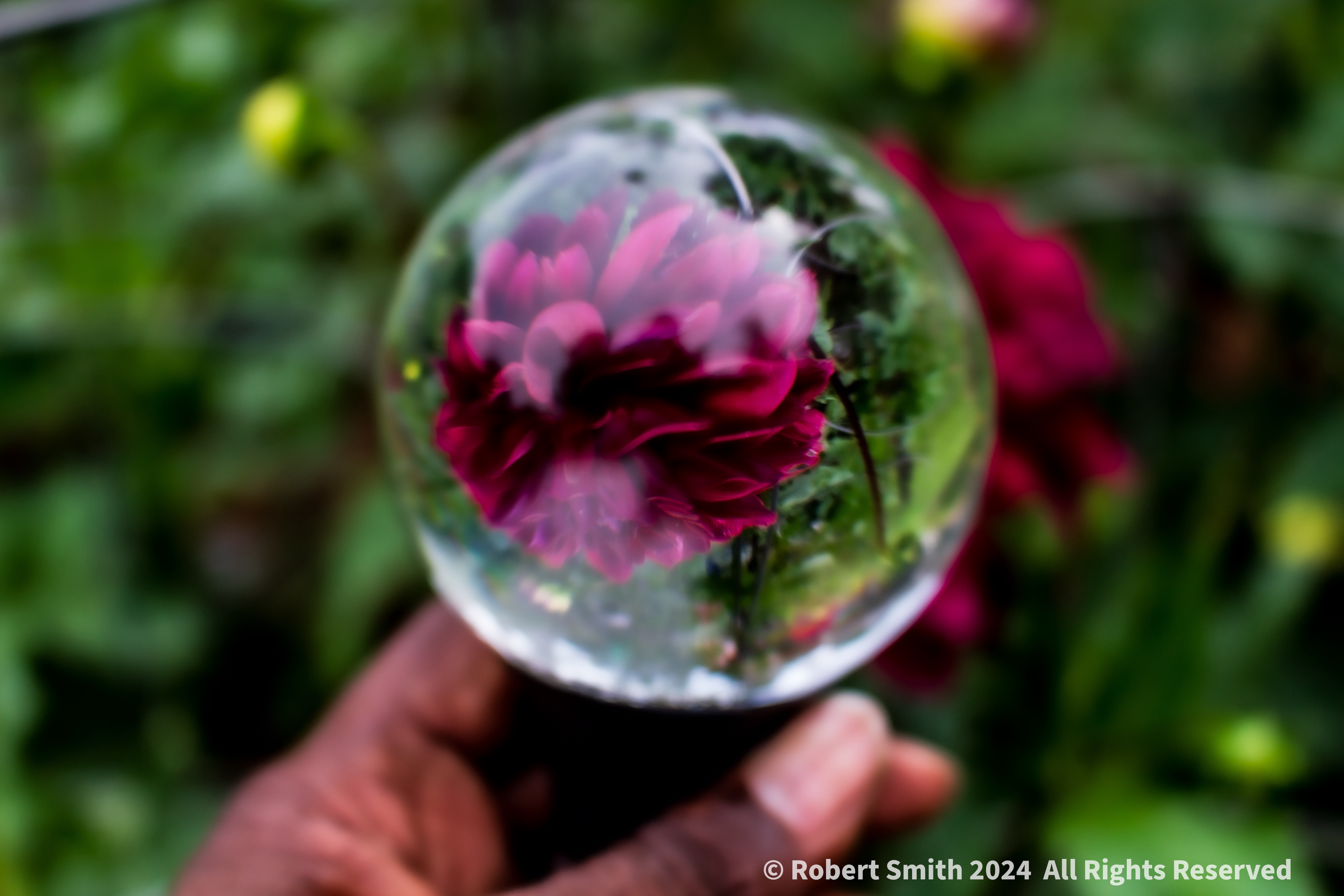 Look into My Crystal Ball, What Do You See?