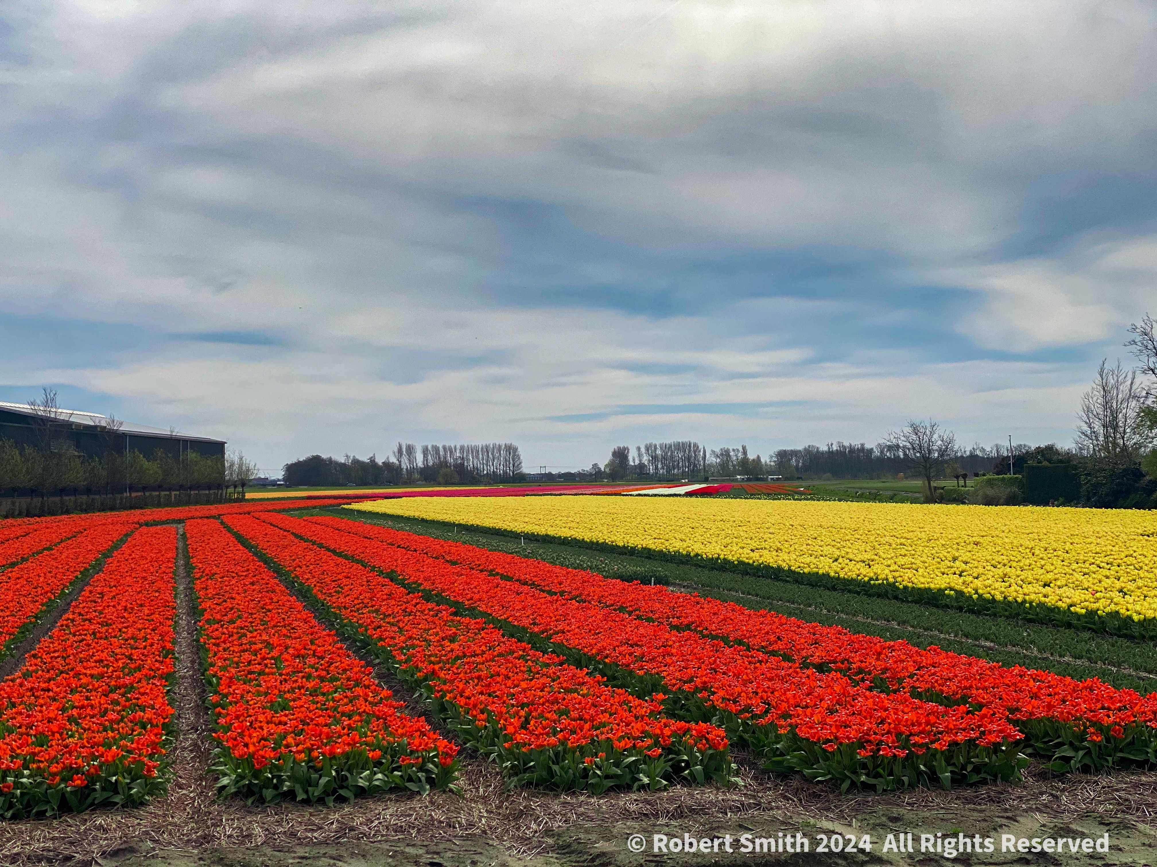 Scenes from Holland 2