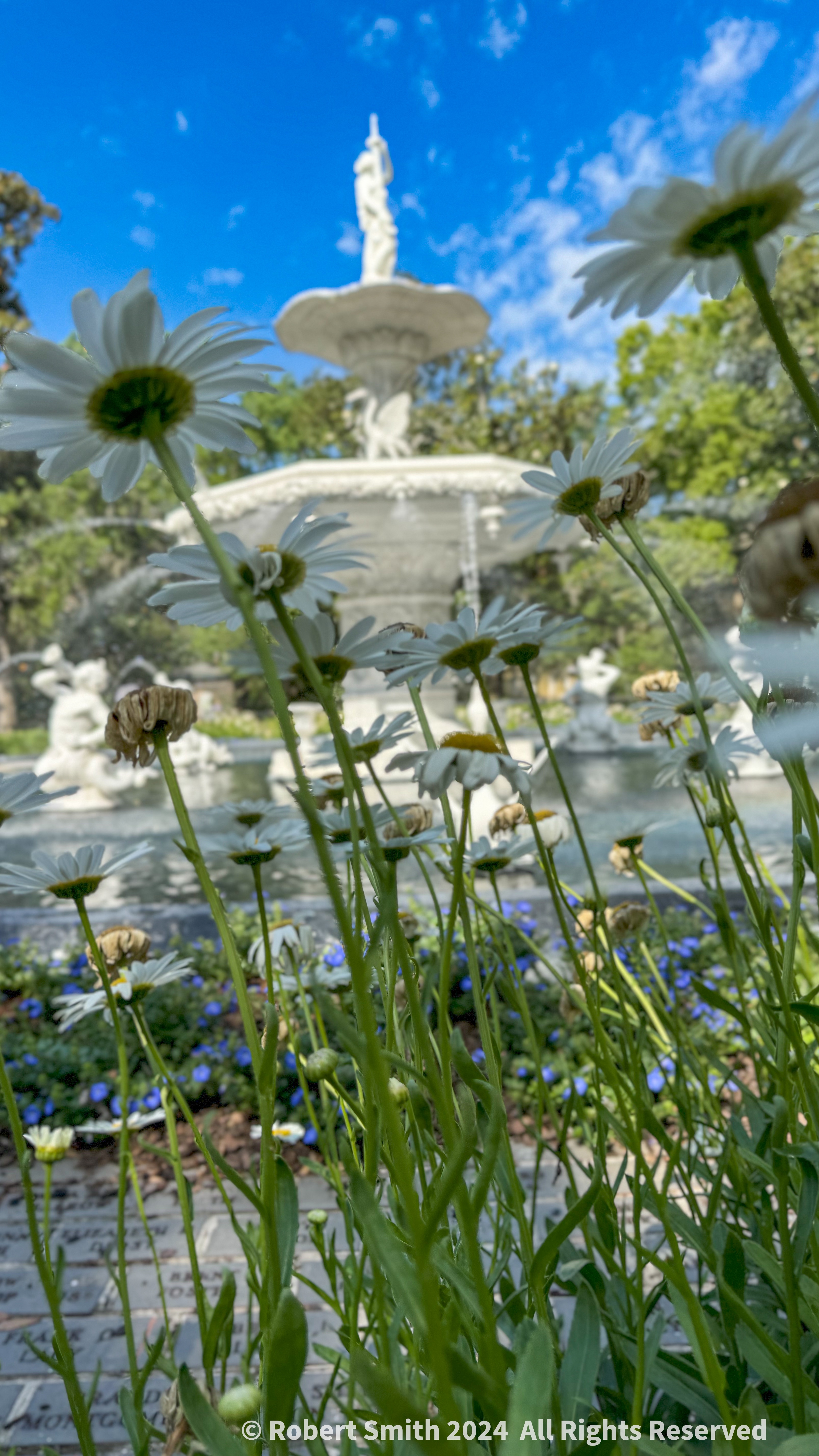 Your Flowers by Day 2024, Week 19:
