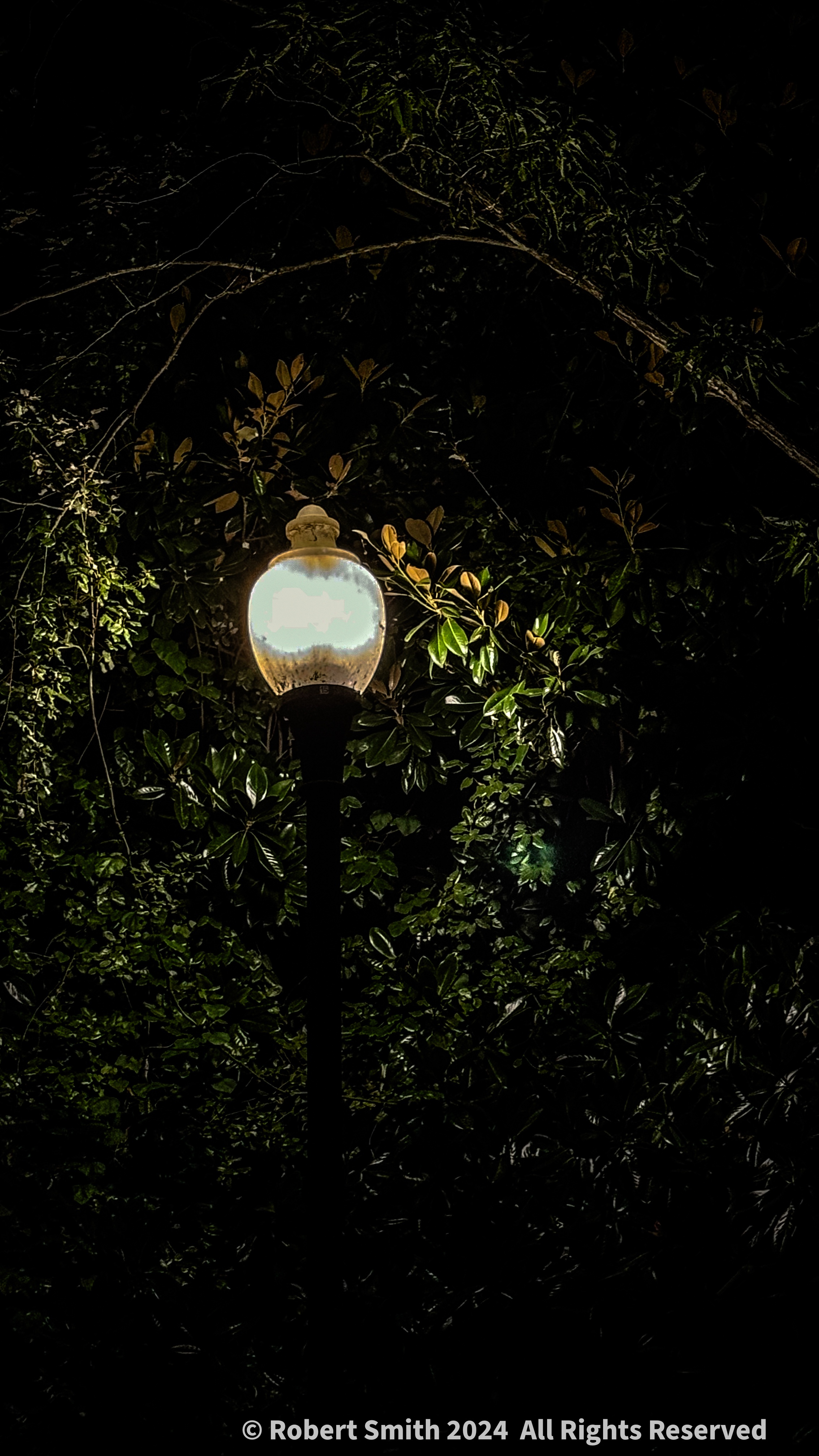 An Evening walk by Lamplight.