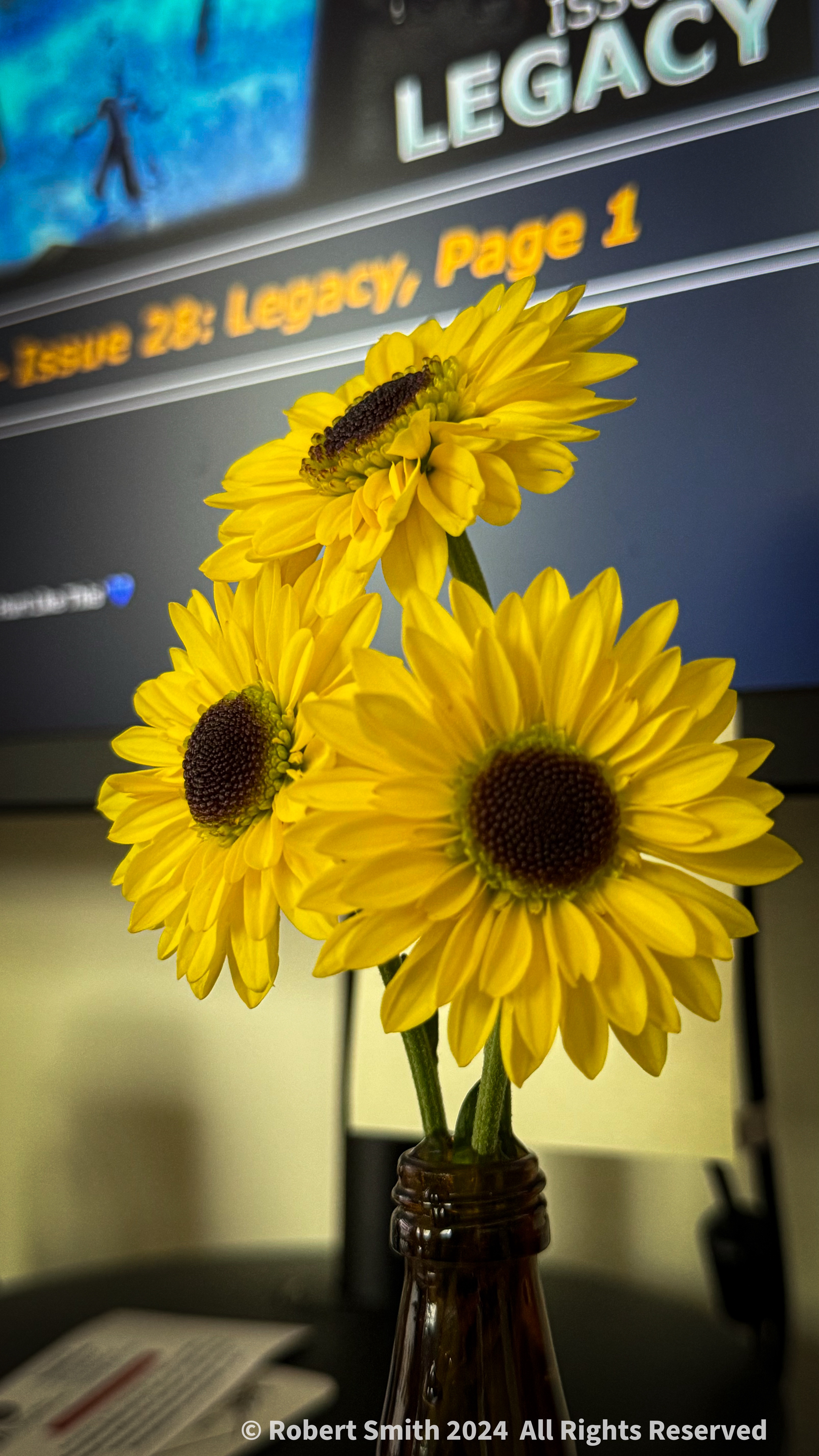 Desktop Chrysanthemum