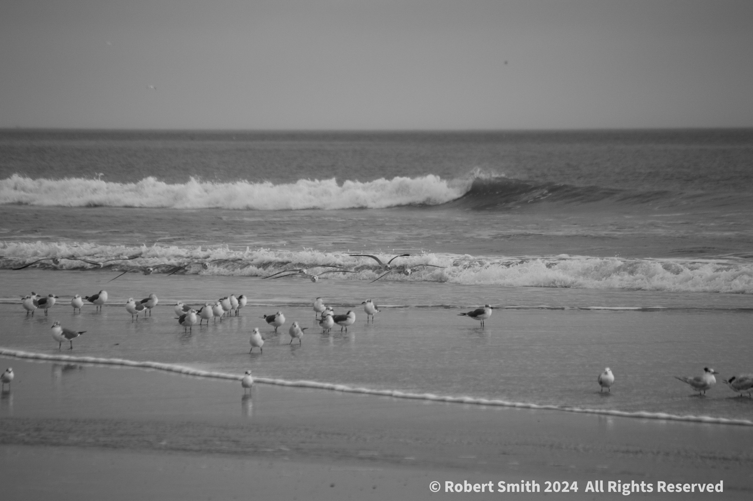Landing Close to those Waves