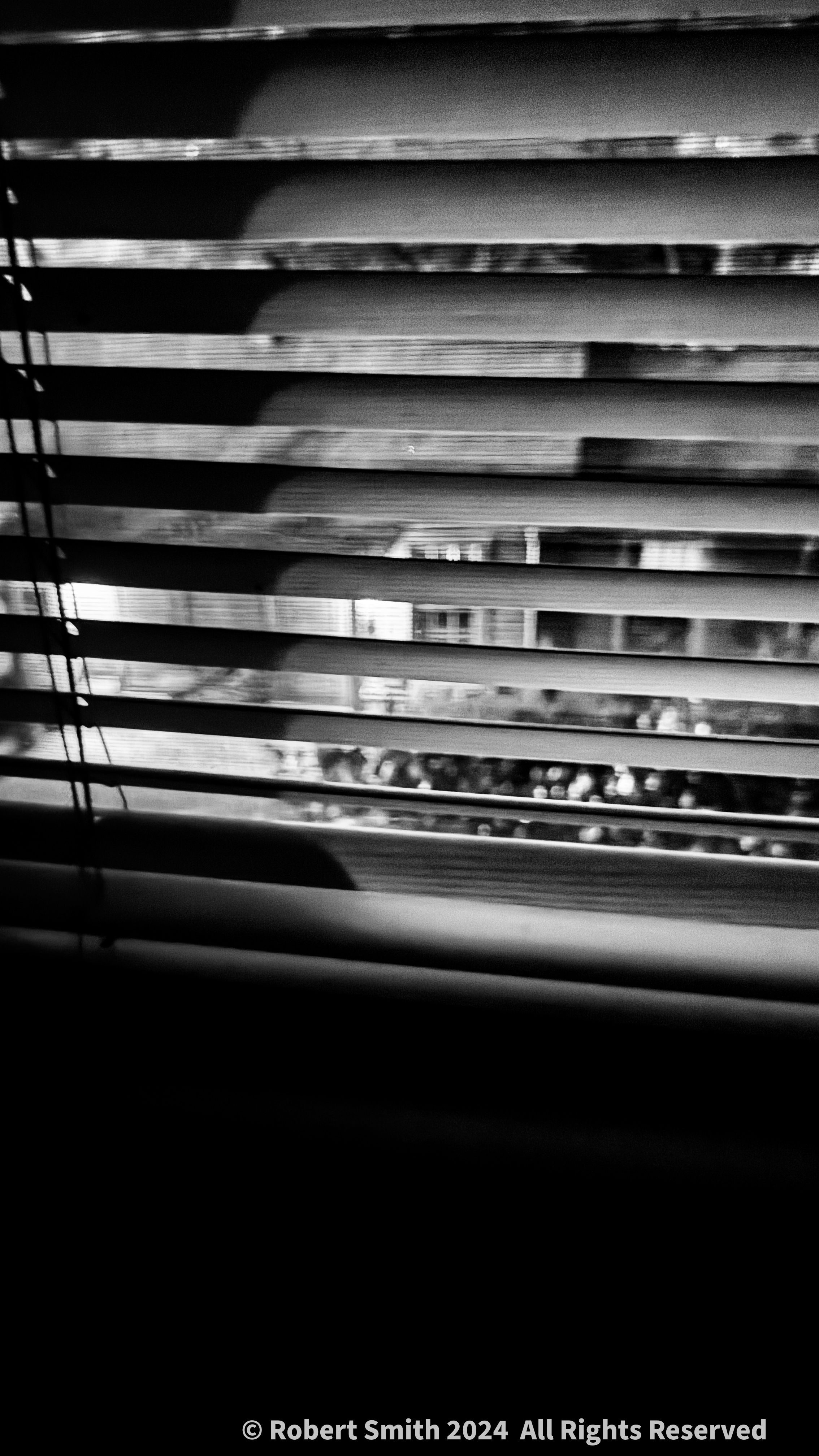 Monochrome Monday: Just Outside the Bathroom Blinds