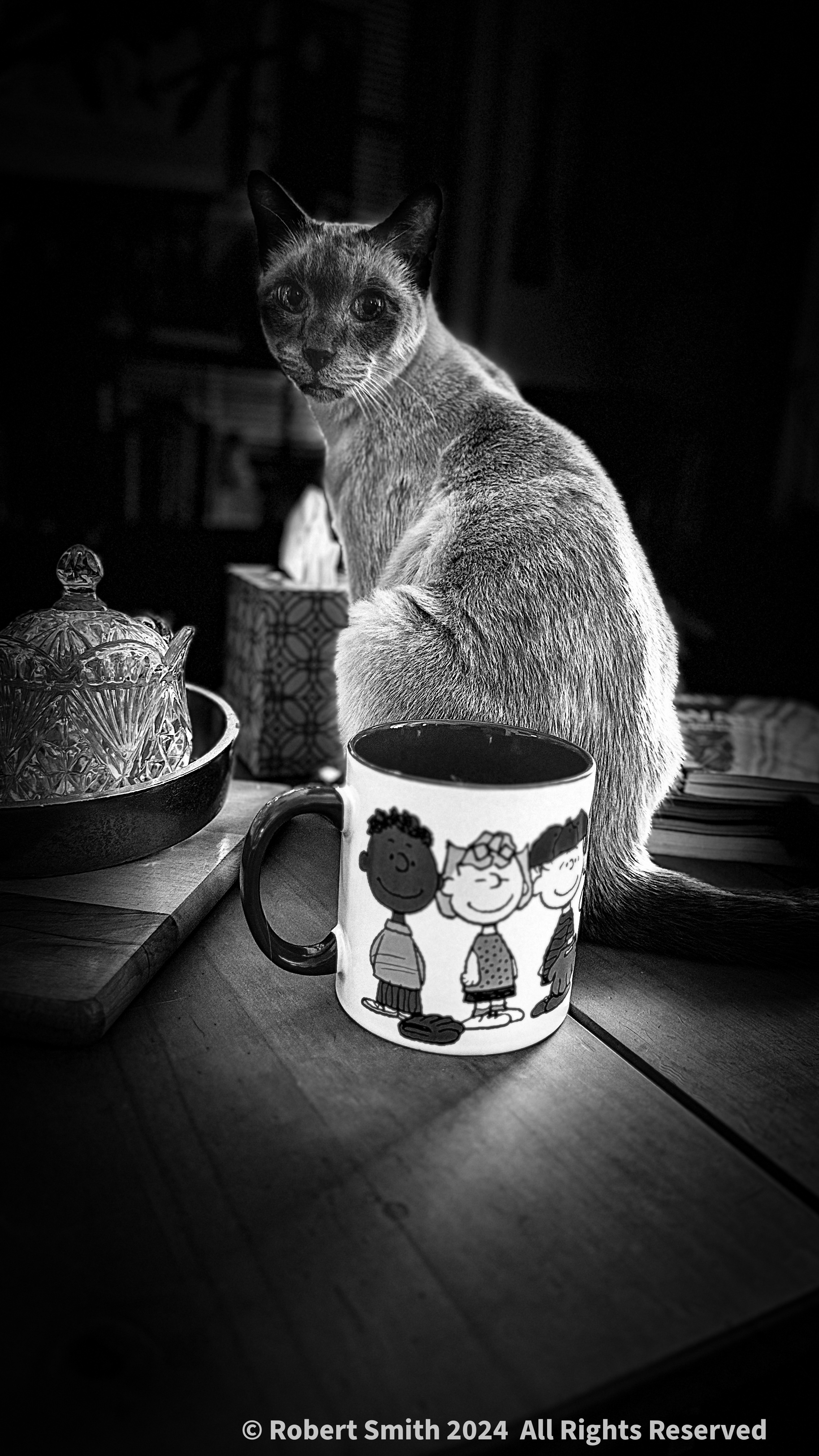 Benny in Monochrome #3