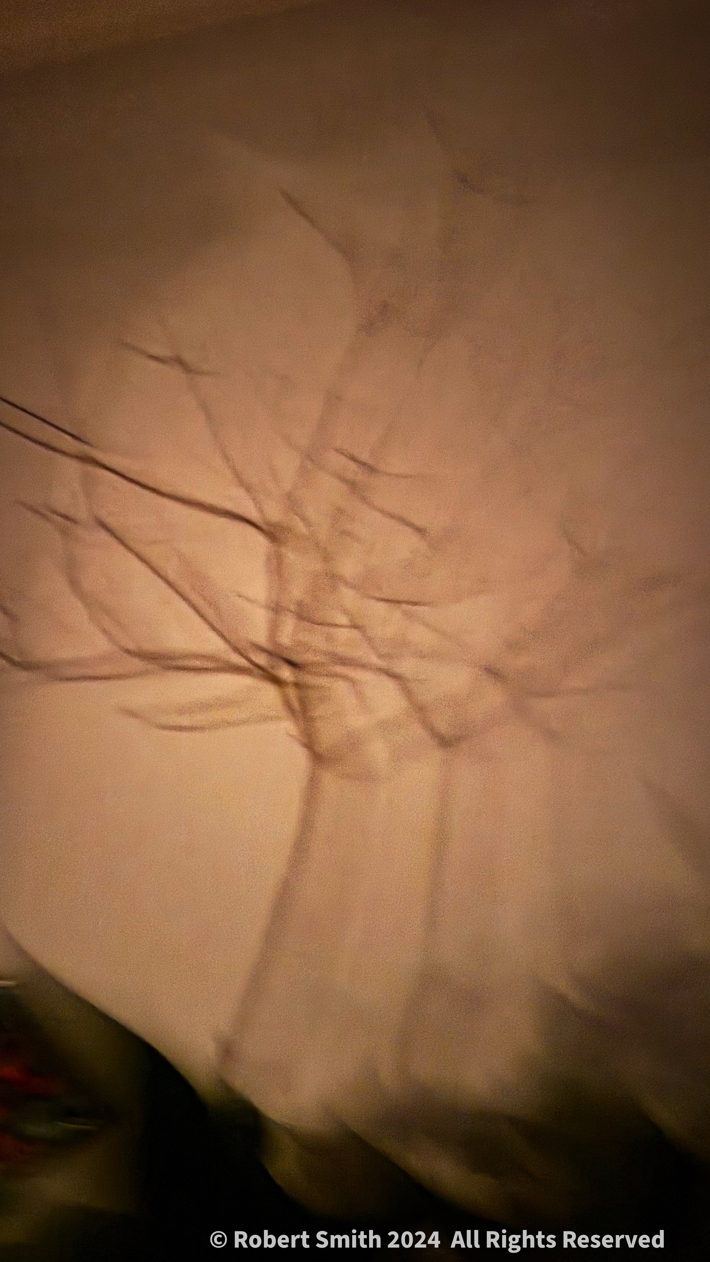 Just Like Fall: Spooky Shadows on the Wall