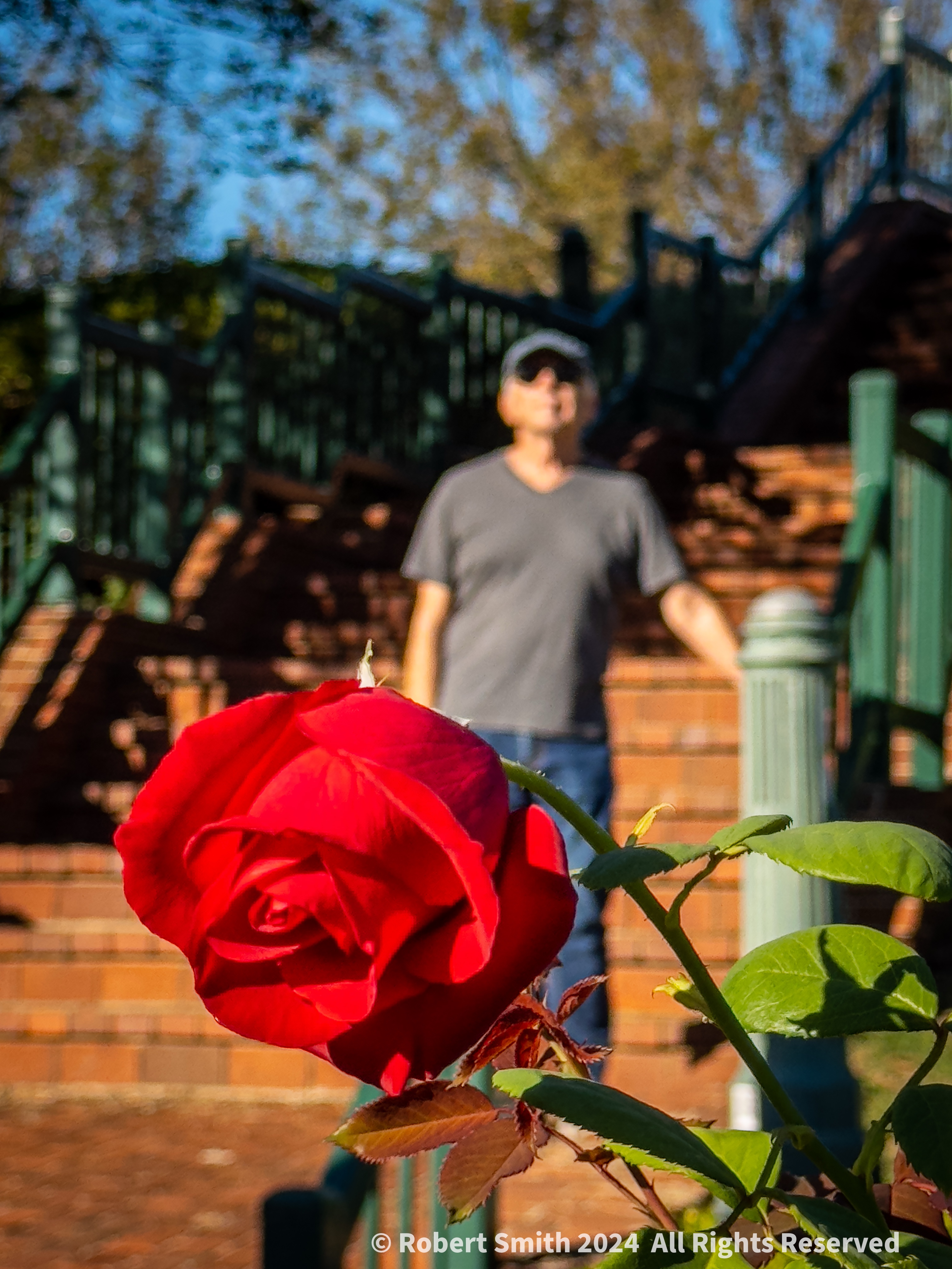 Your Flowers by Day 2024, Week 39:
