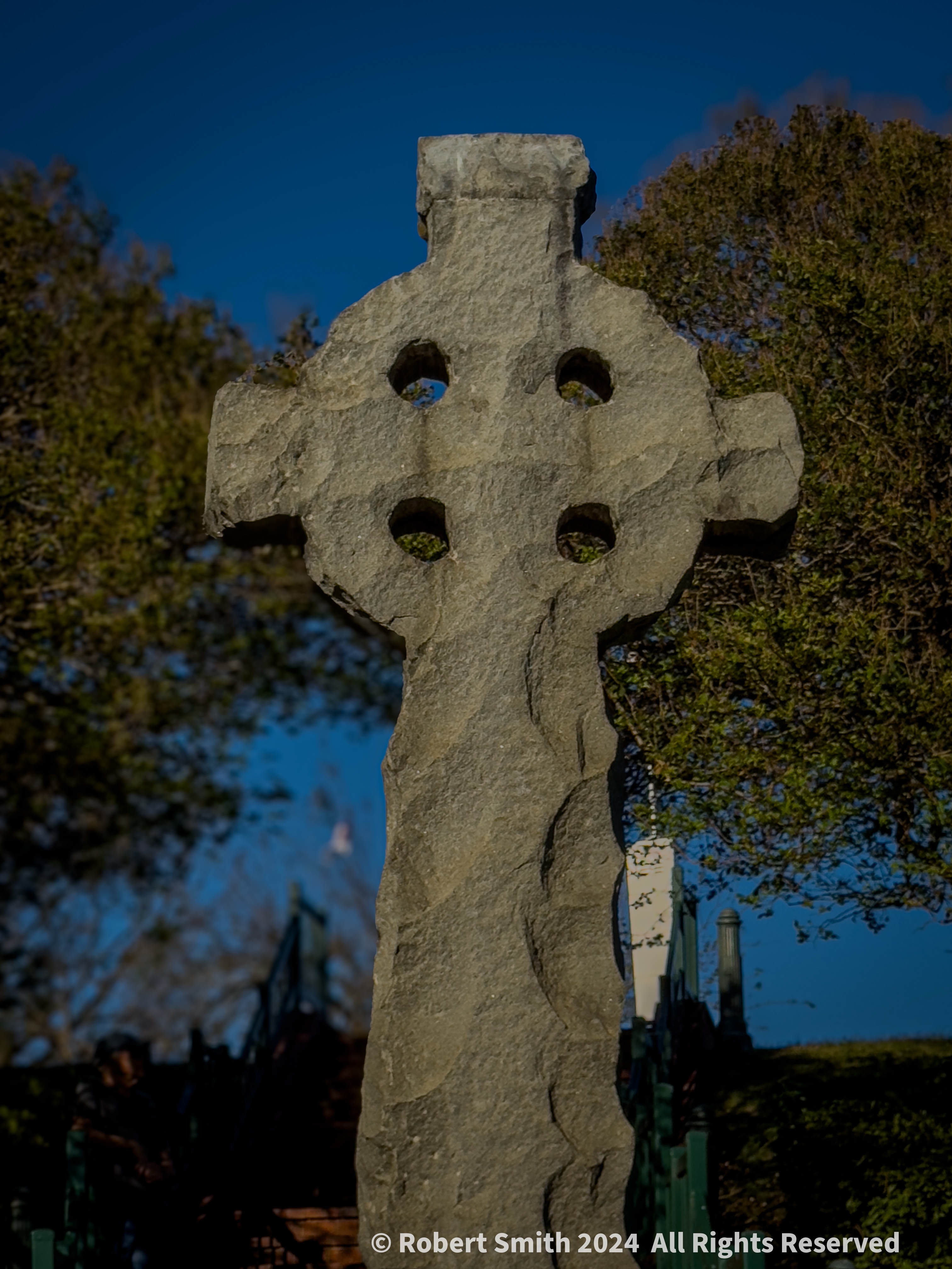 Celtic Cross in Augusta Rose Garden