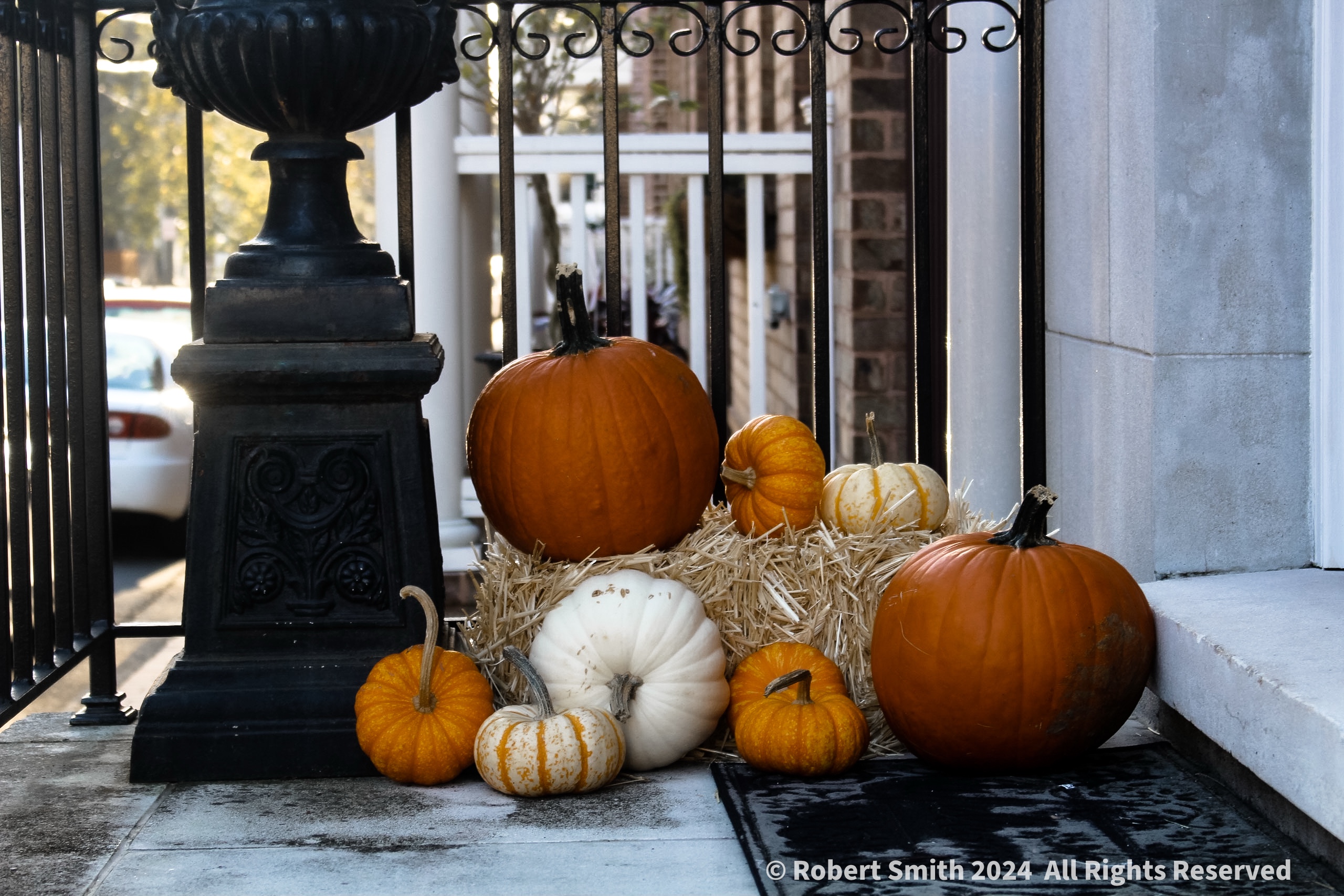 Just Like Fall: Seasons Greetings