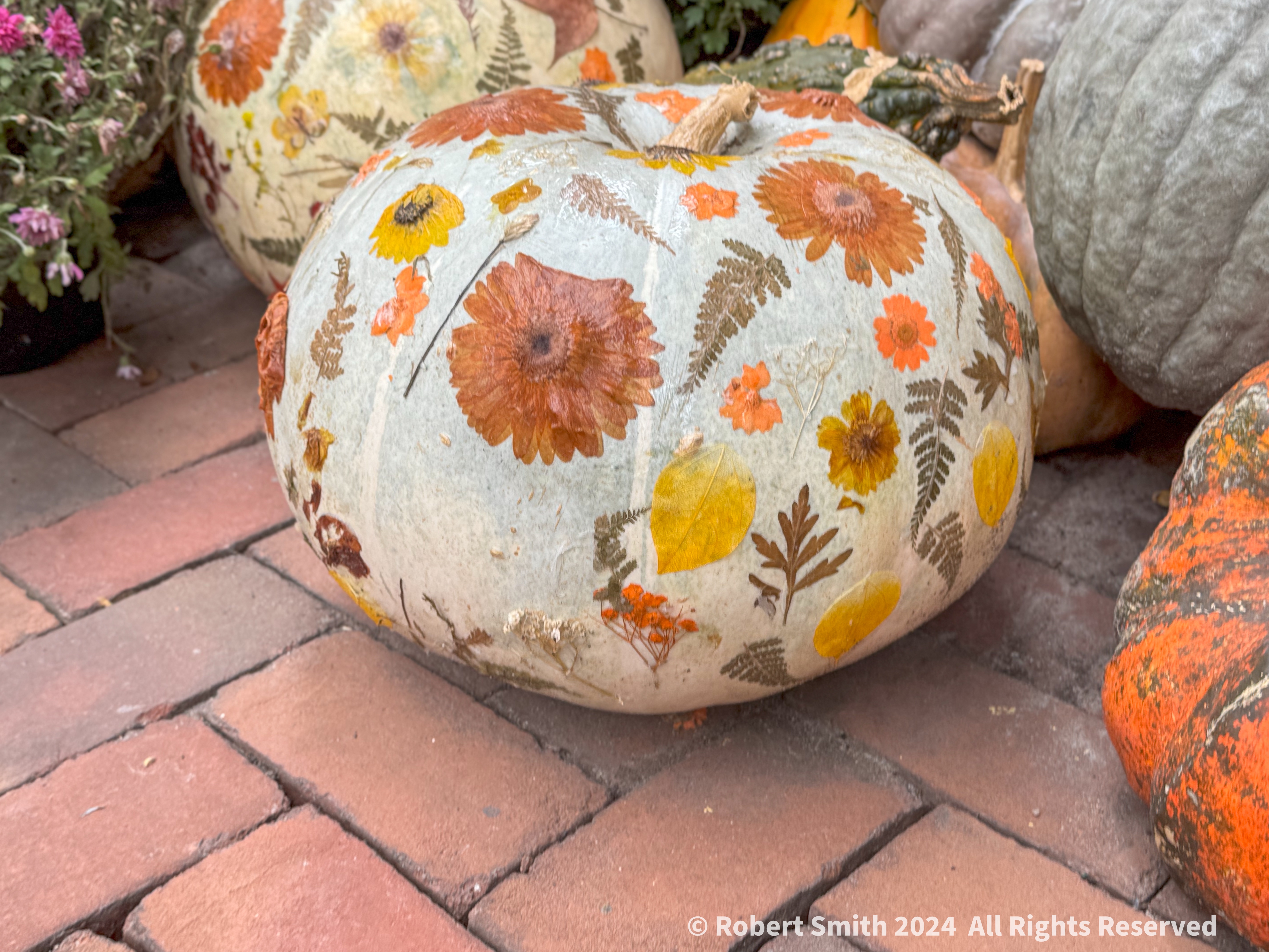Just Like Fall: Pumpkin Art