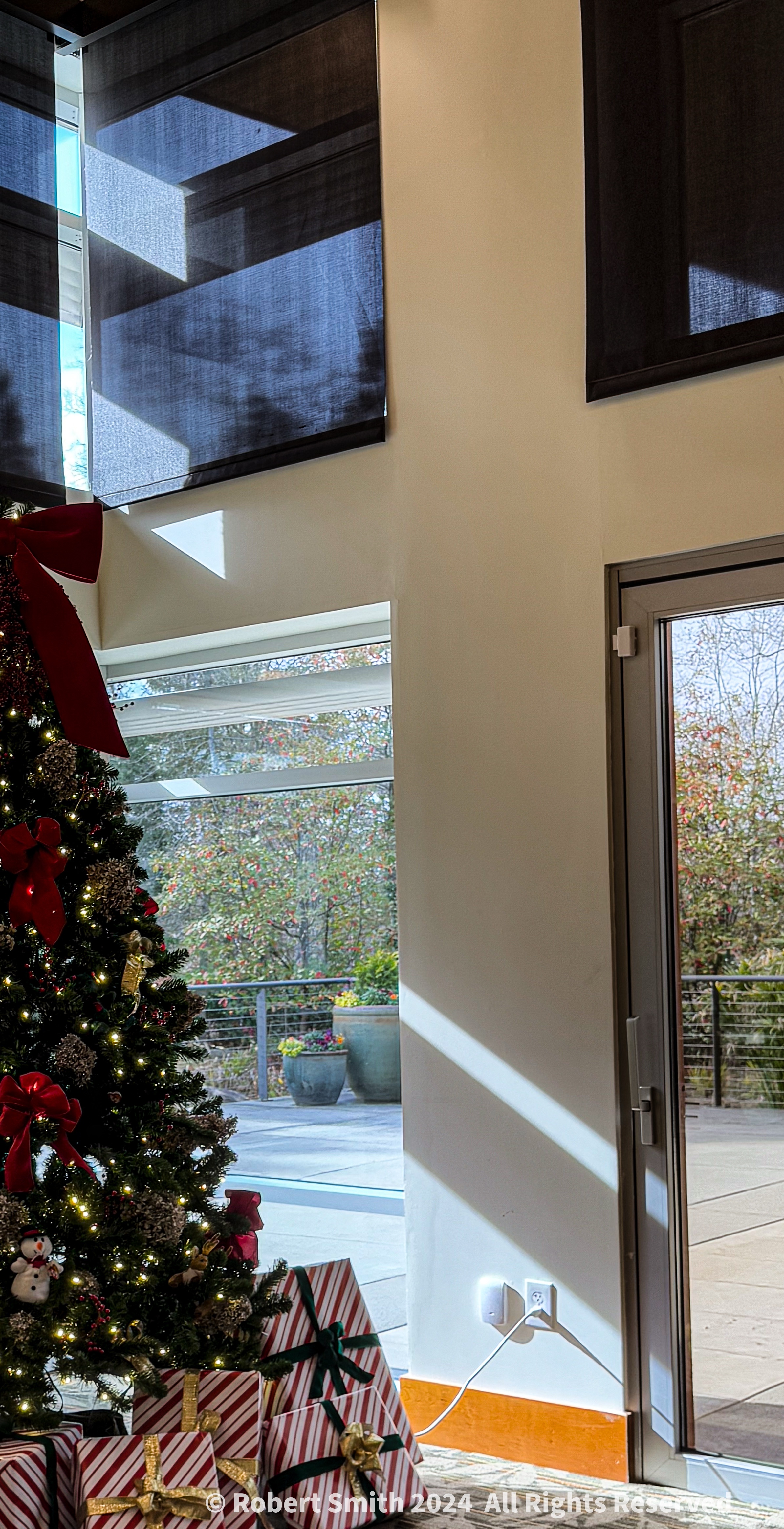 Christmas Trees, Everywhere you go! #10