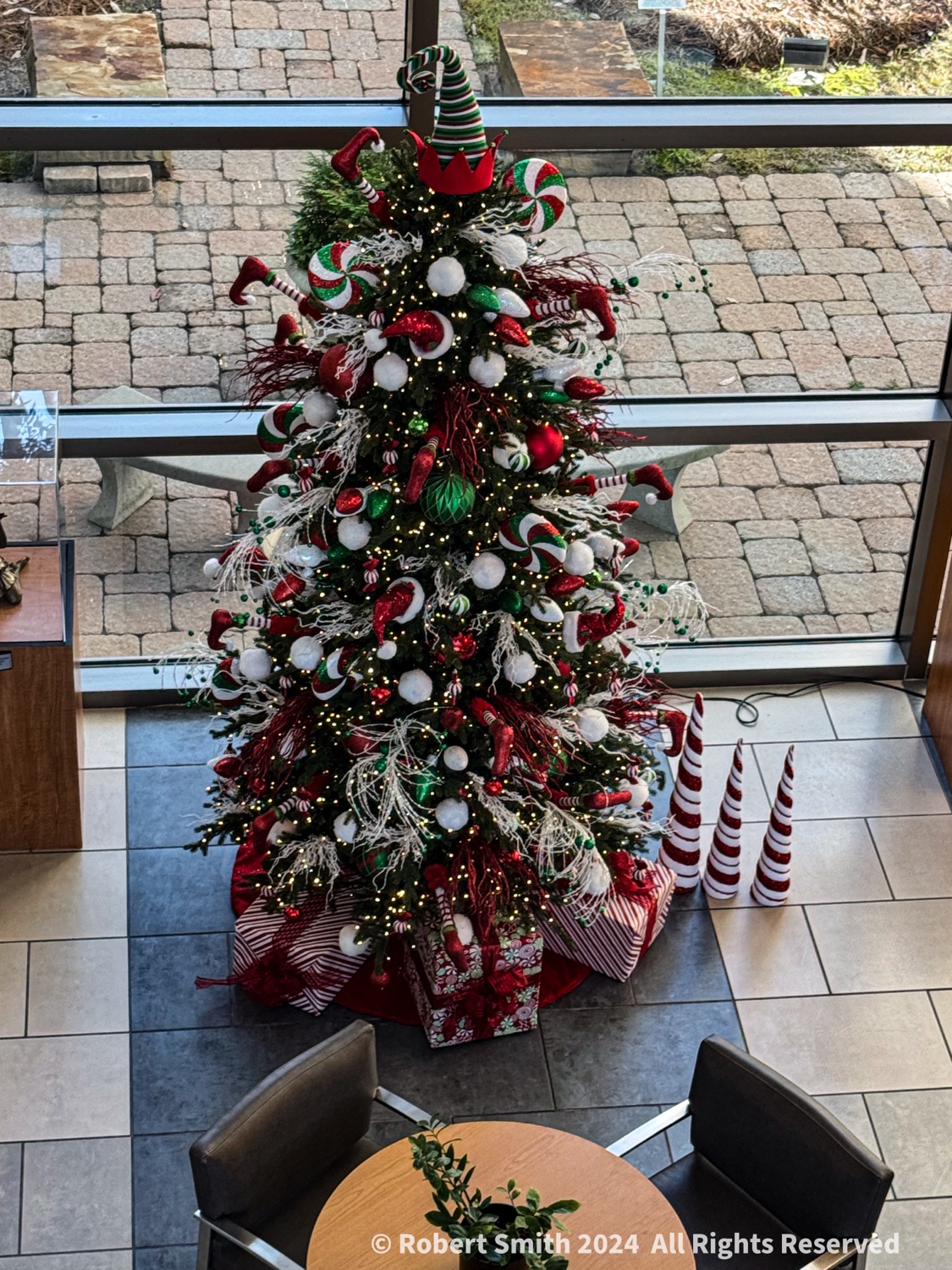 Christmas Trees, Everywhere you go! #11