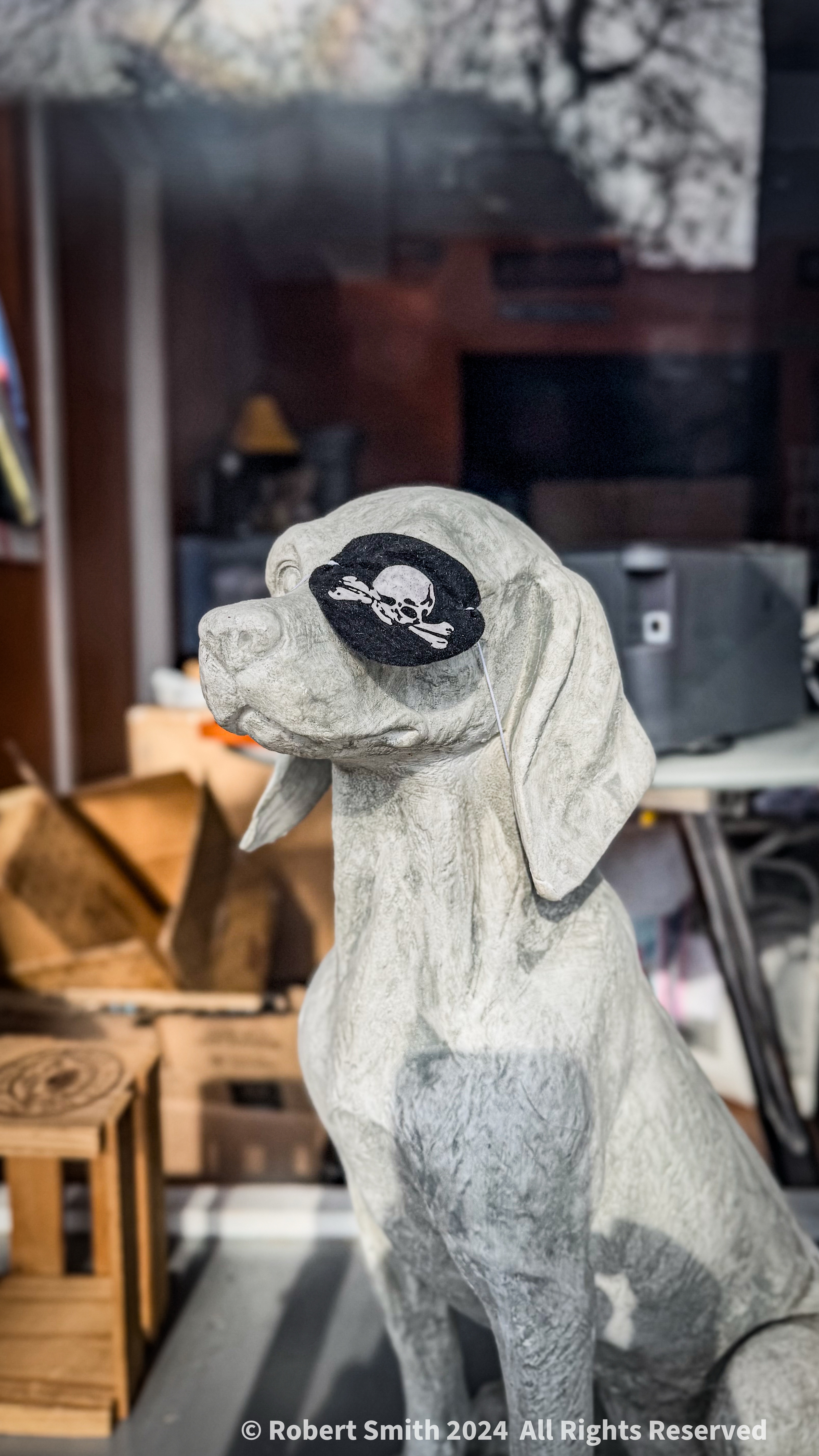 Arrr Maties, Puppy Pirates are a Thing!