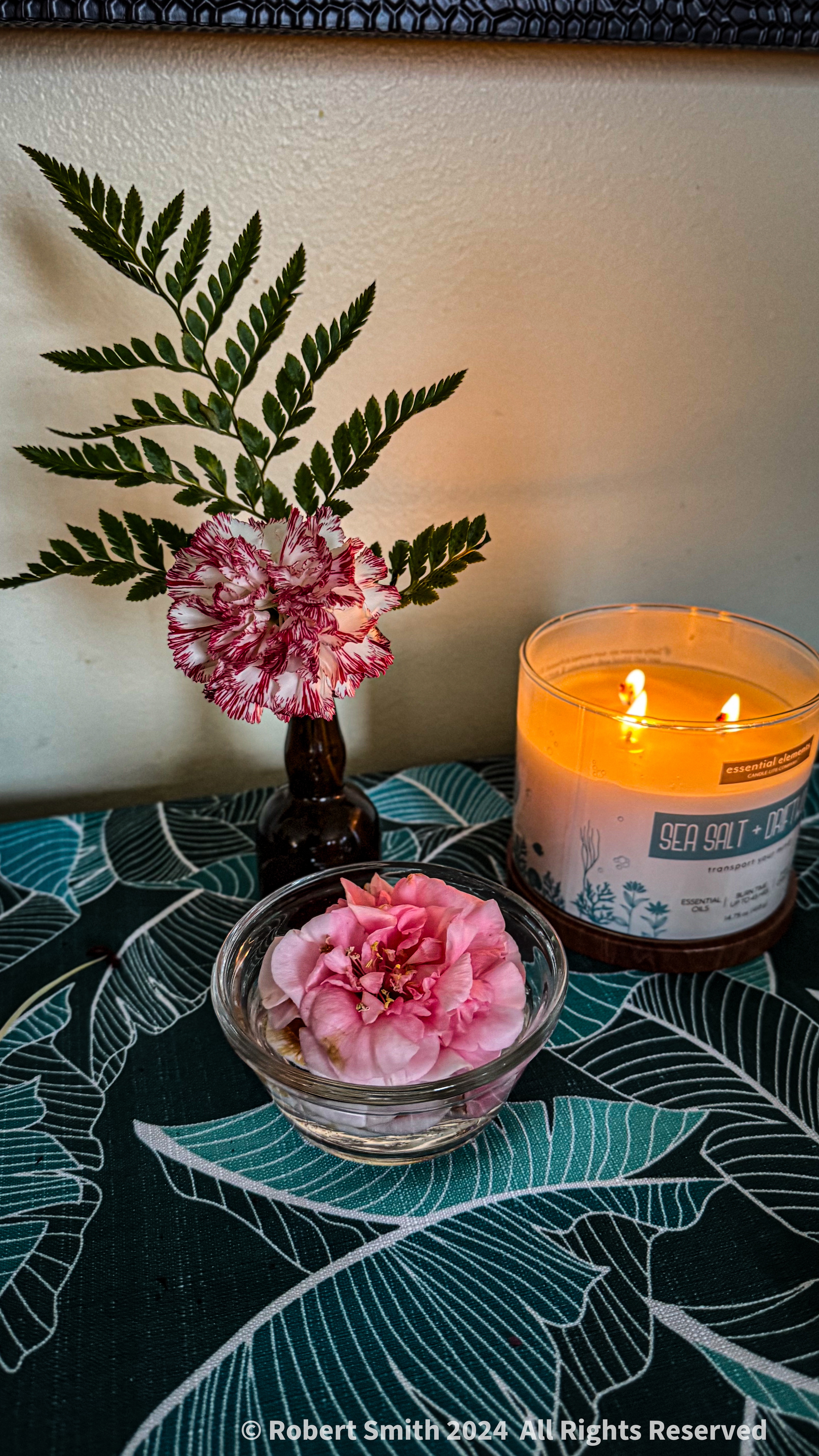 Your Flowers by Day 2025: Week 2, Tabletop Camellia