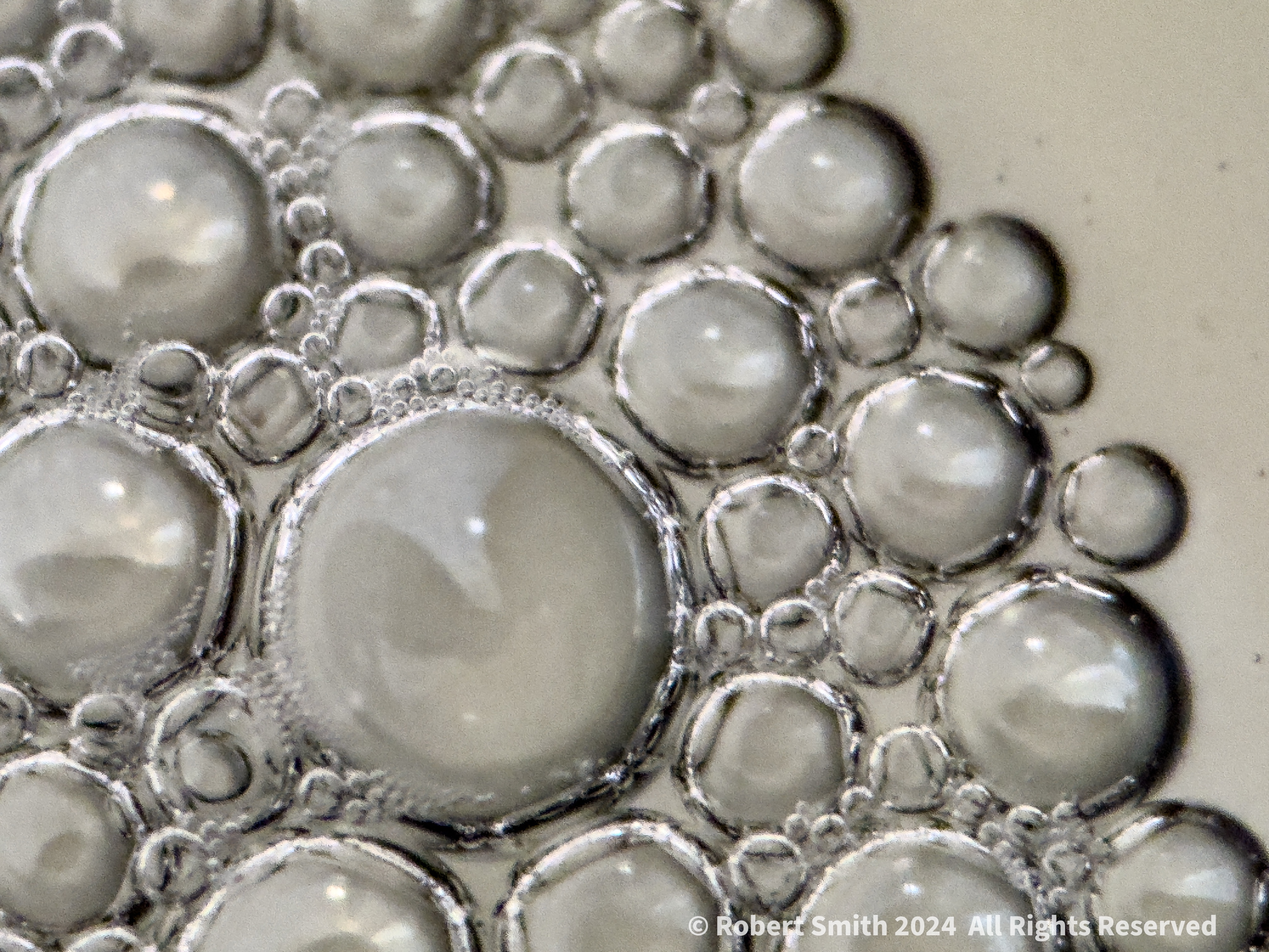 The Moment Macro: Bubble Bath #1