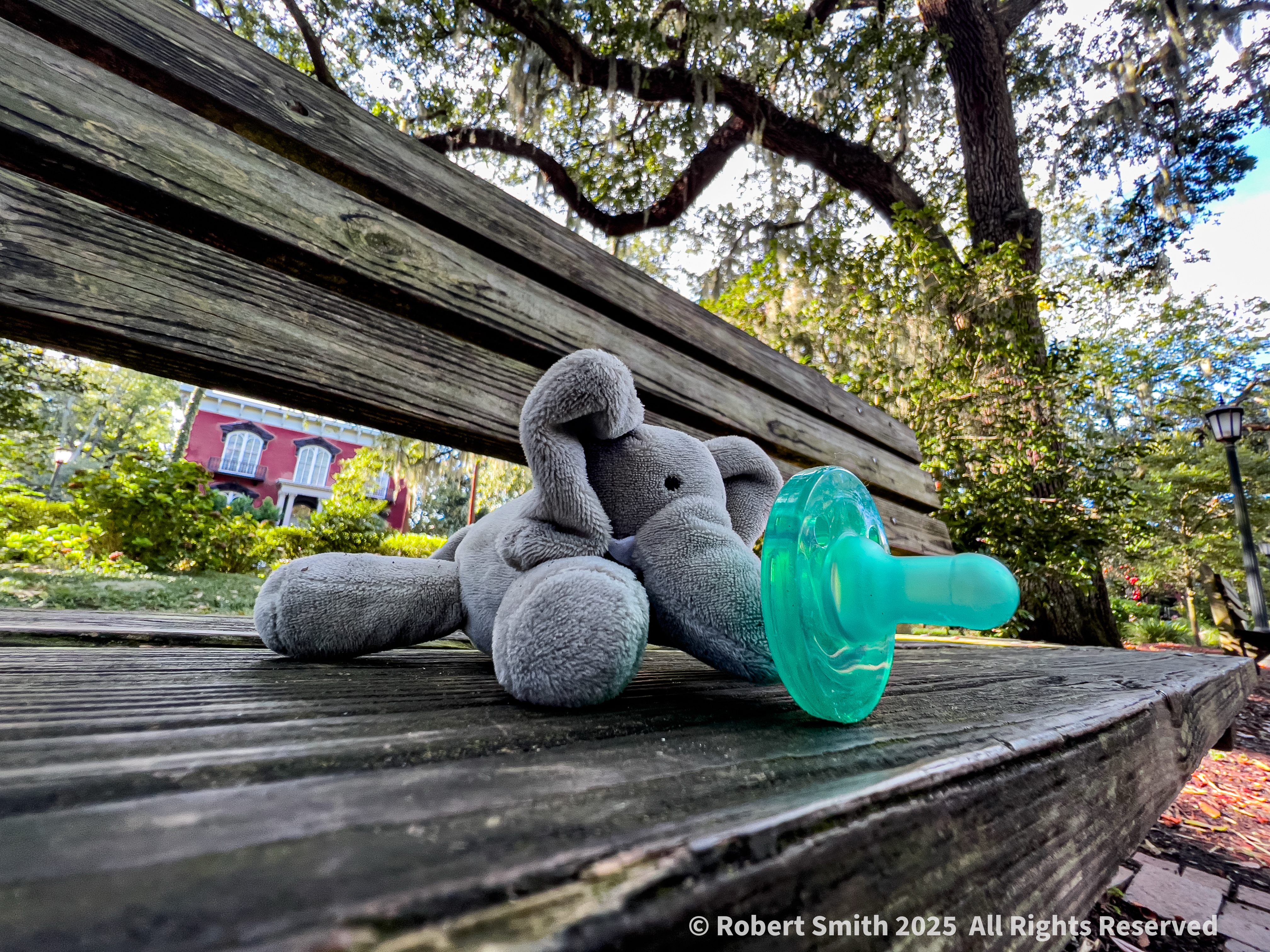Forgotten Binky in Monterey Square