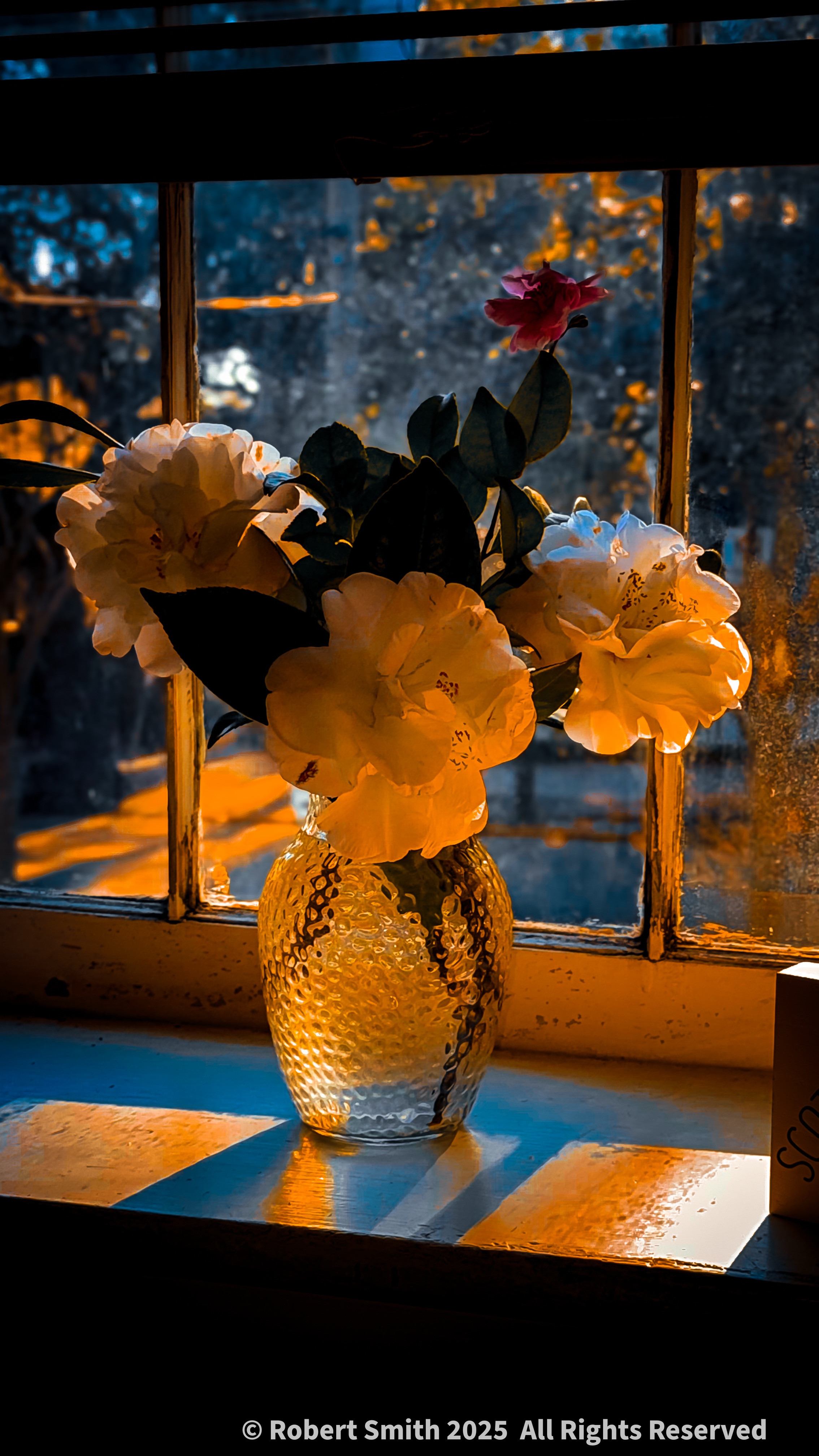 Your Flowers by Day 2025: Week 4,