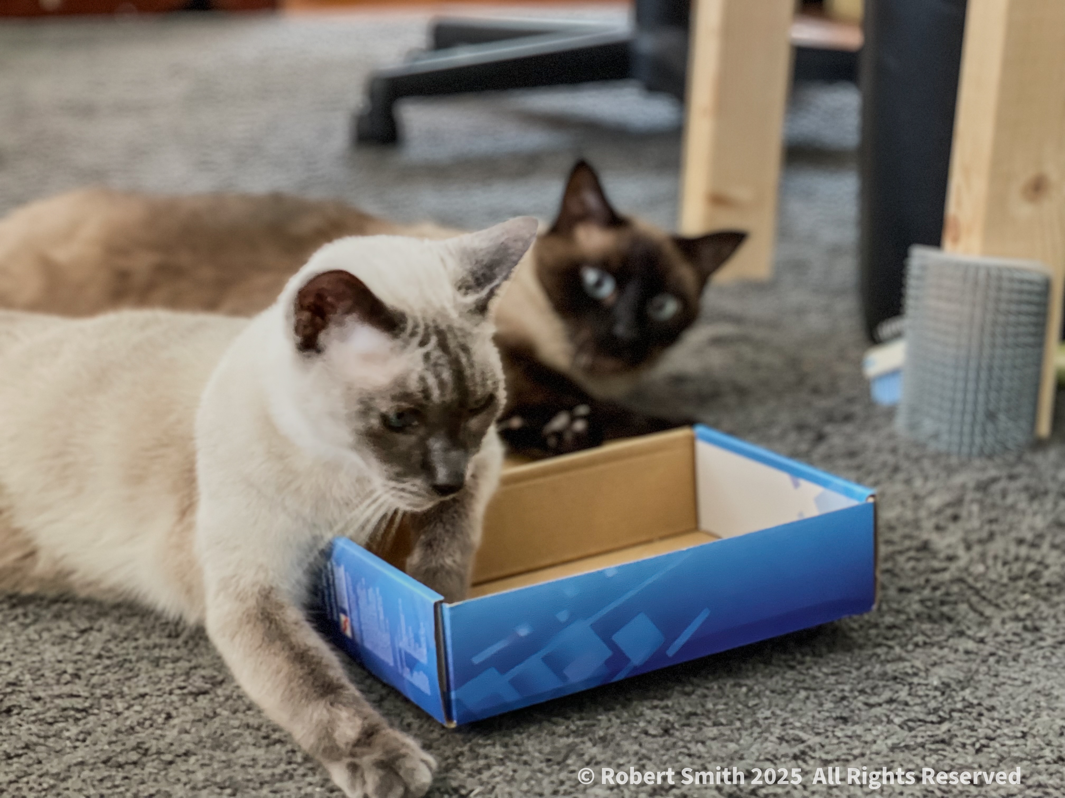 Remembering Boopers: Share the Box Please