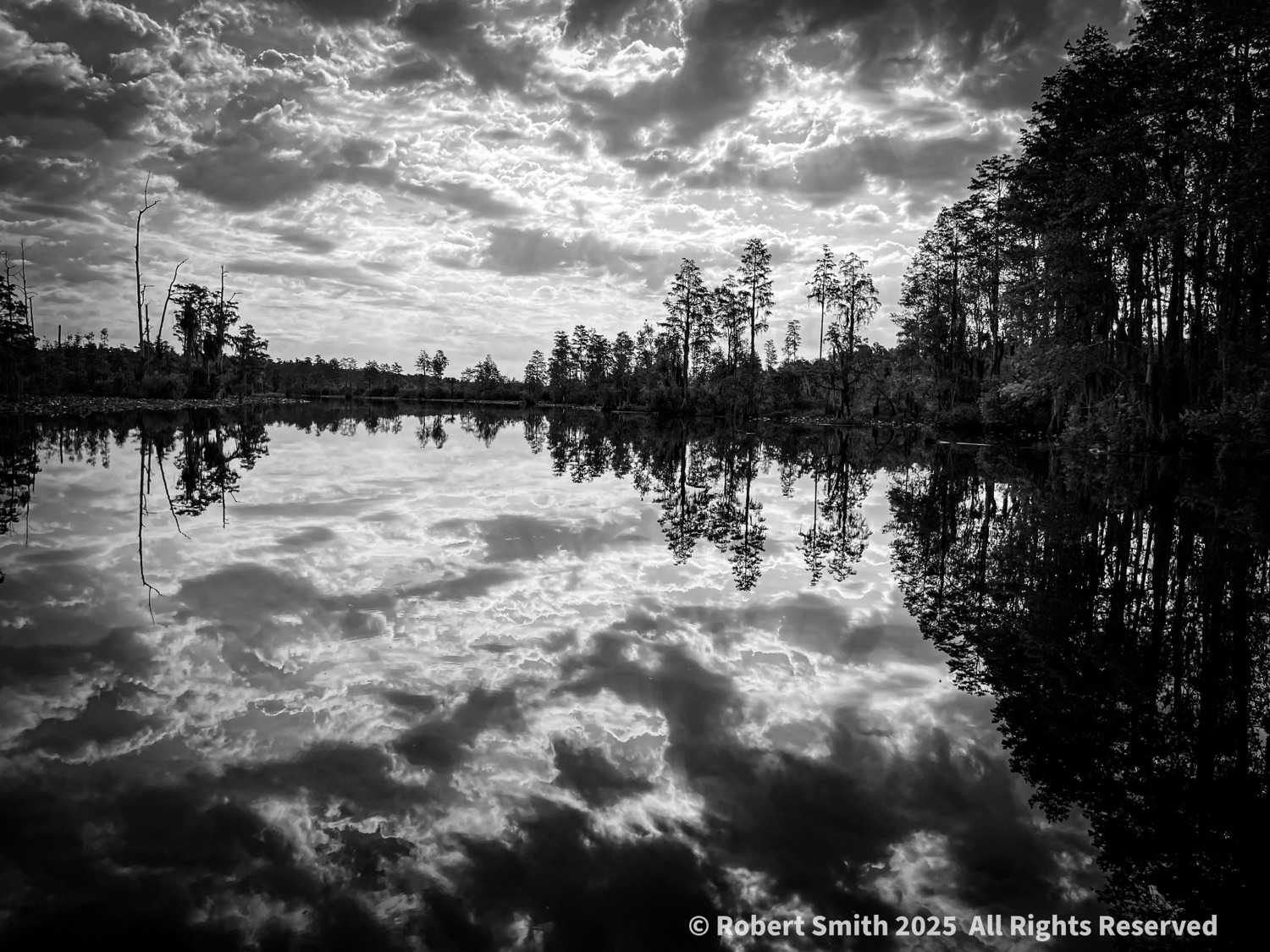 Reflections in Monochrome