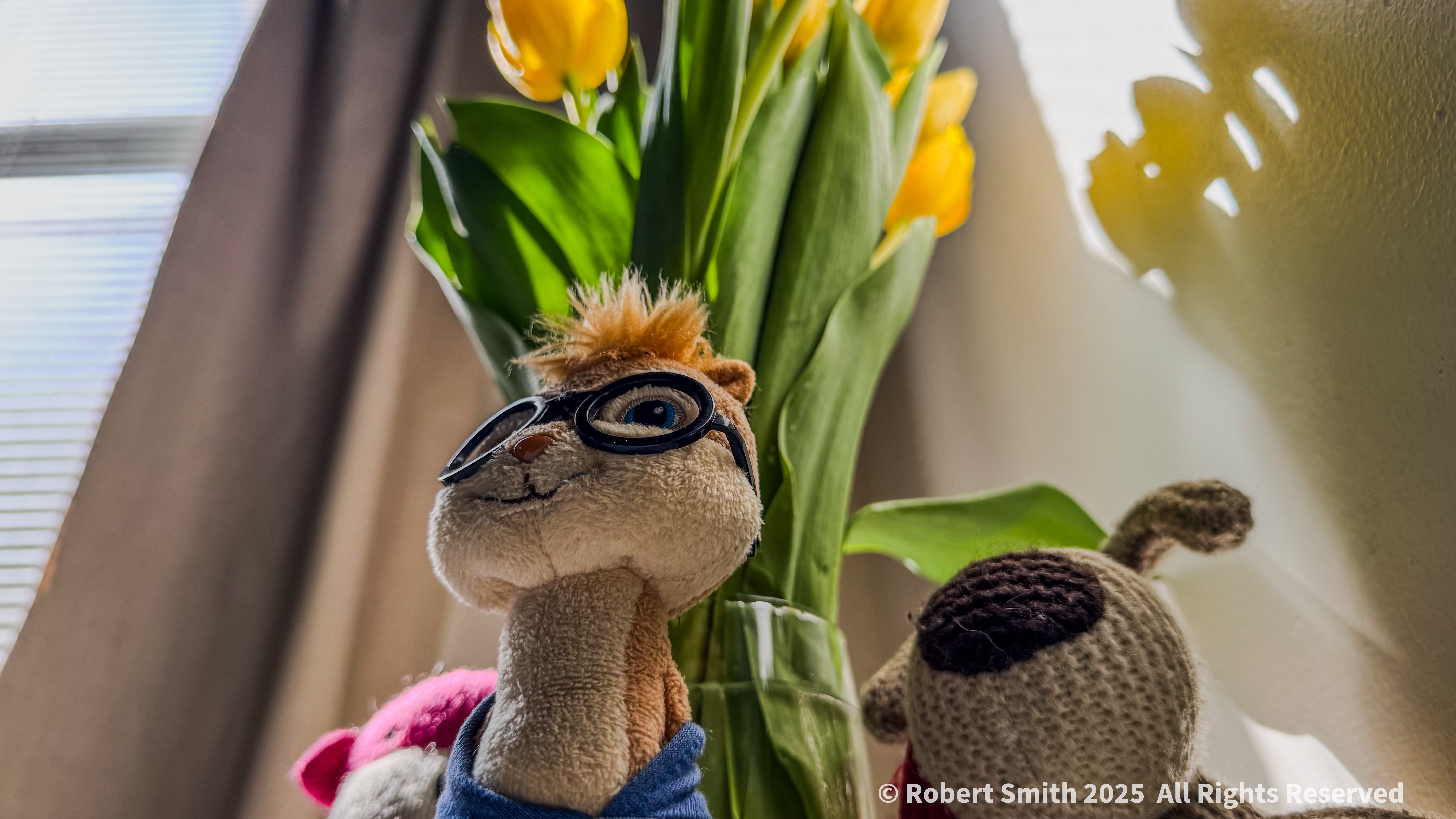 Sunday Tulips: Traveling Tulips