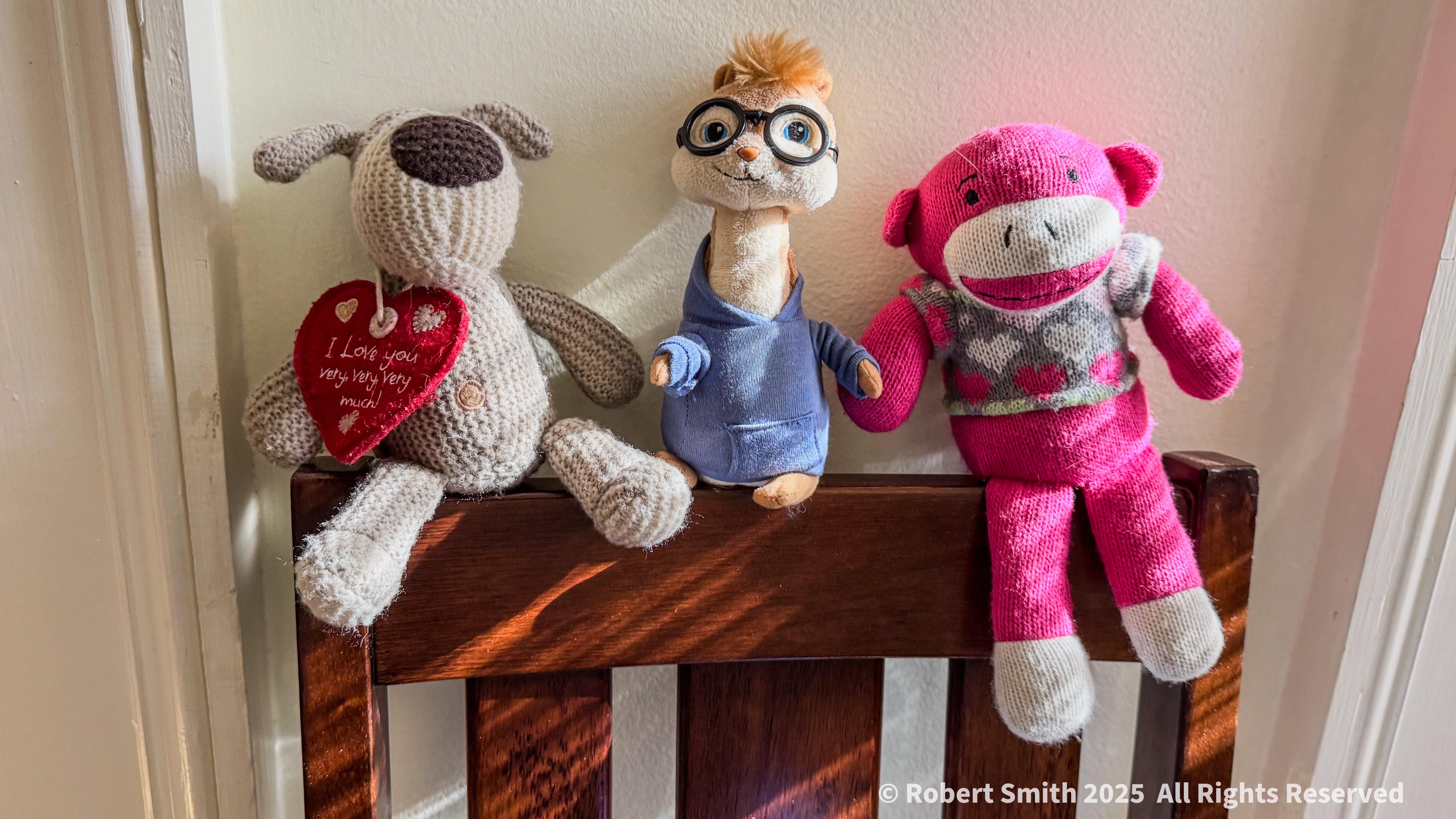 Travel Buddies: Back Home