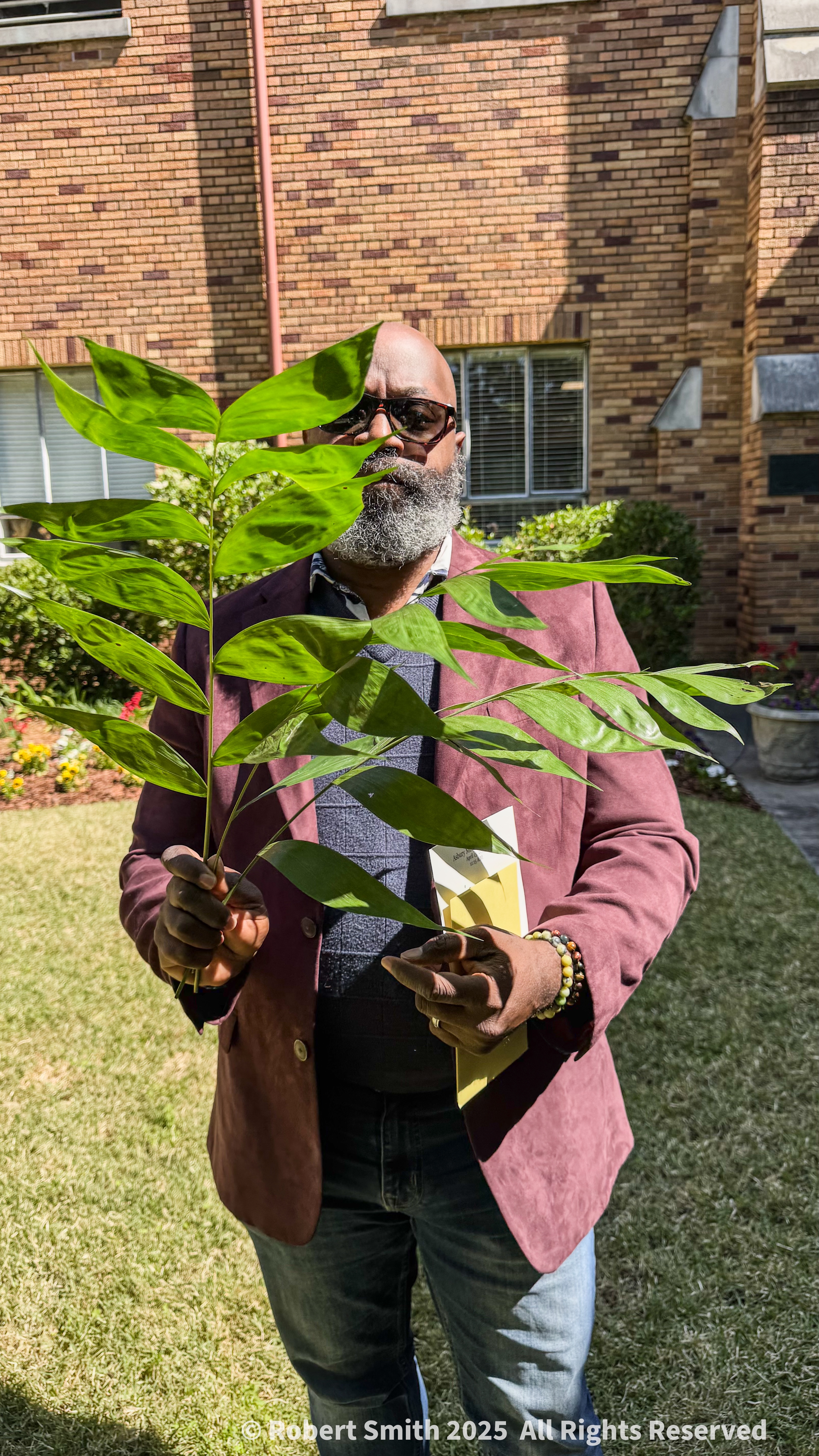 Palm in Hand on Sunday