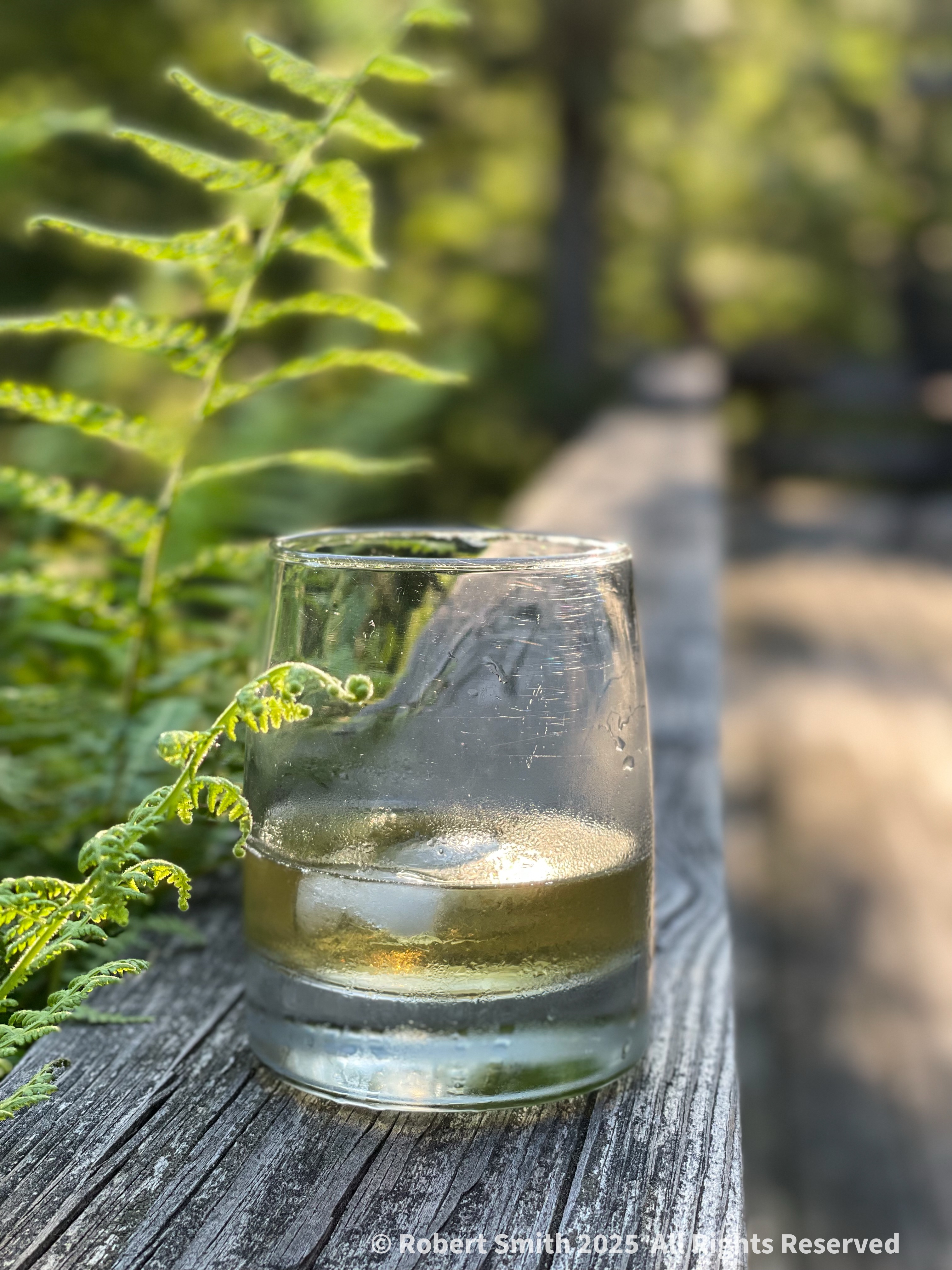 Whisky and Gorgeous Ferns