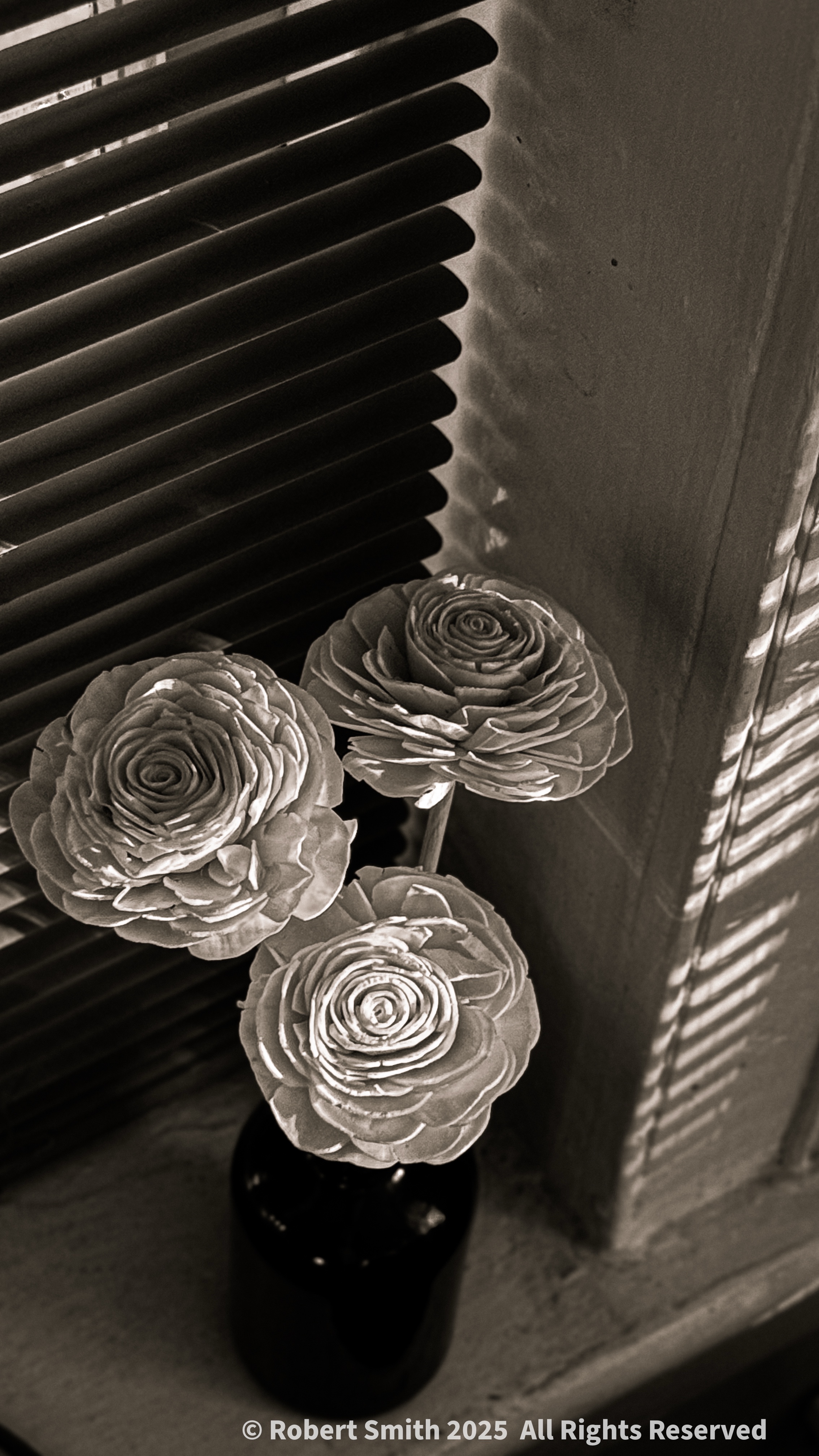 Window Blinds, Morning Light in Monochrome