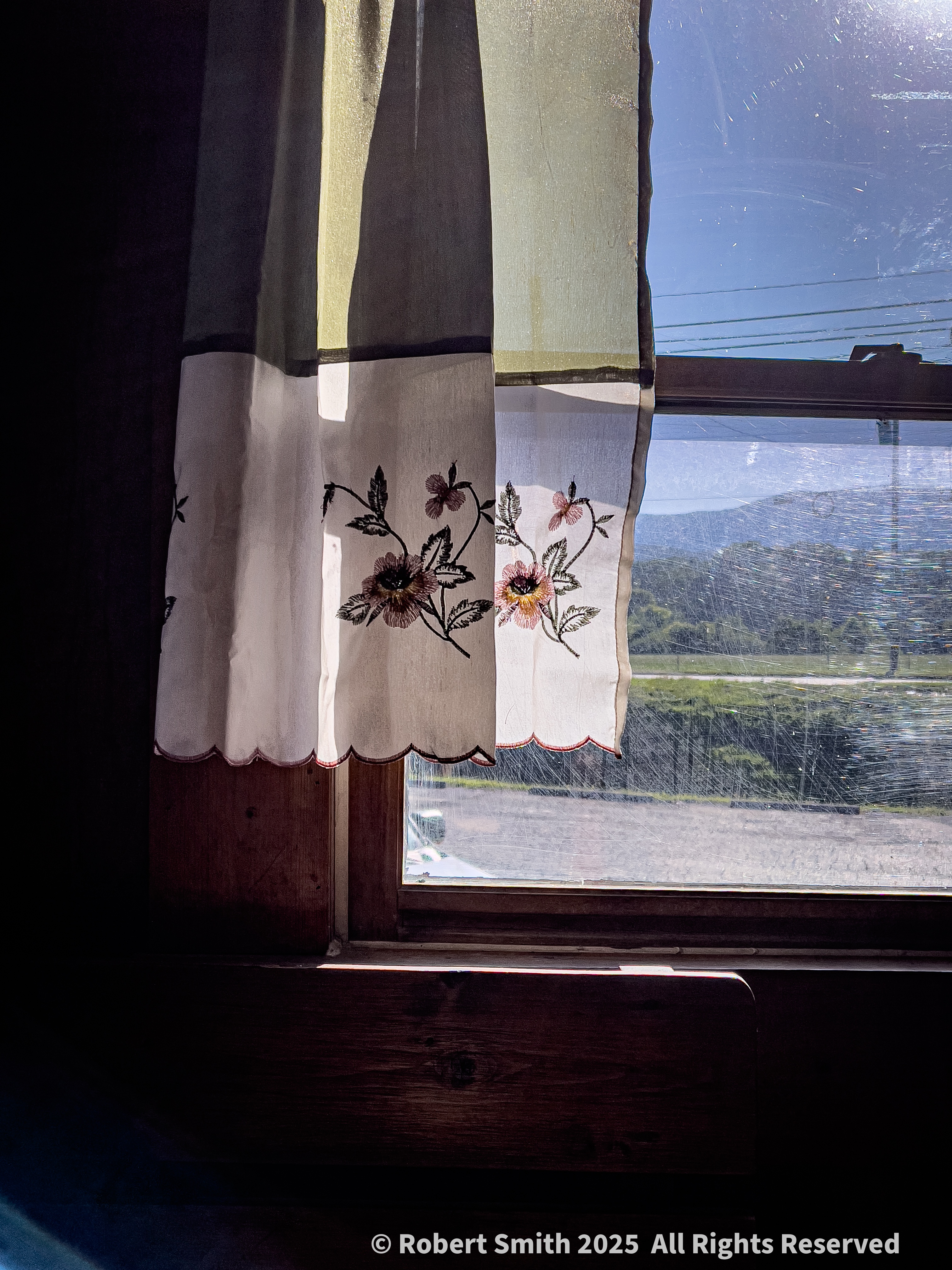 Wordless Wednesday: Hand Stitched Floral Drapes