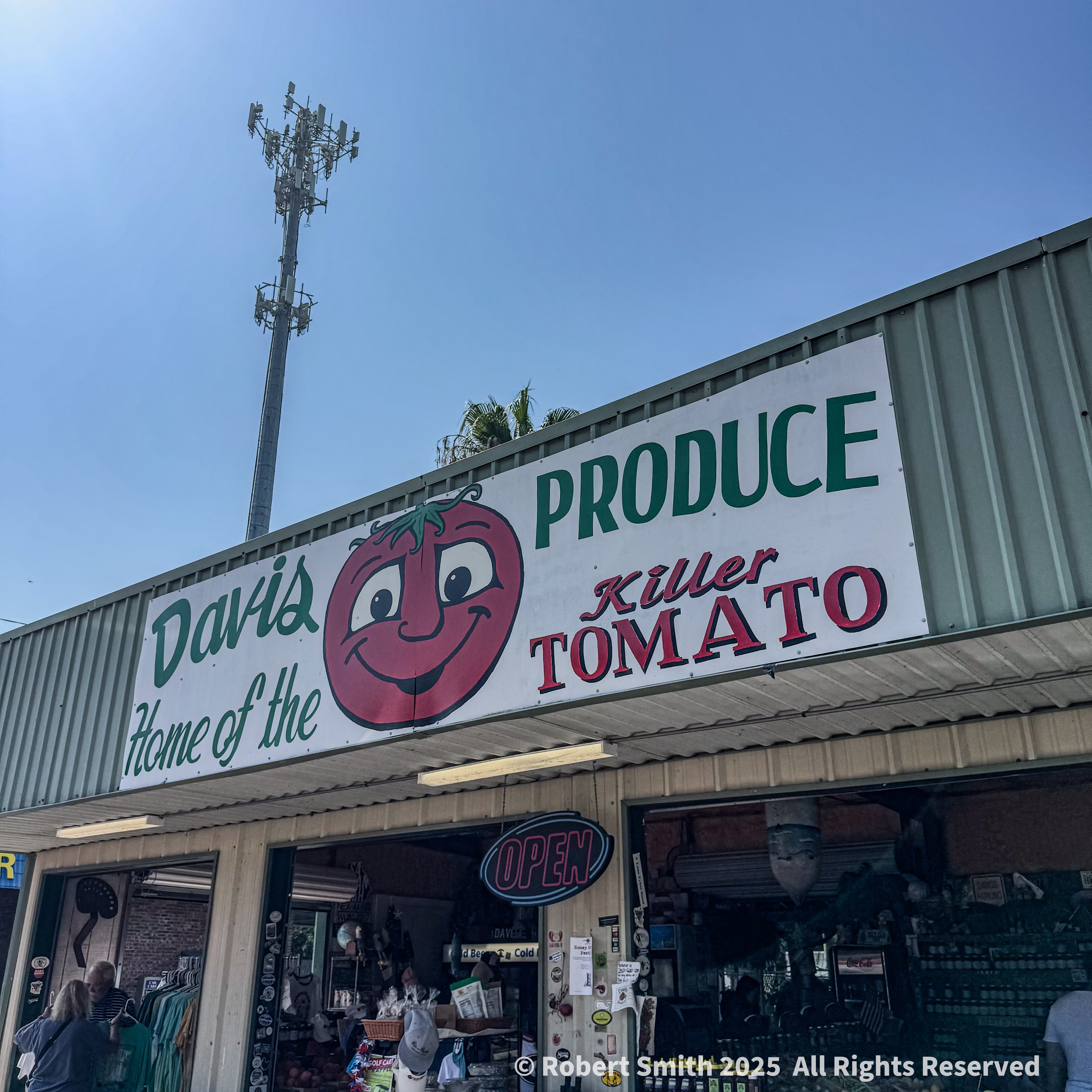 The Perfect Summer Tomato #20