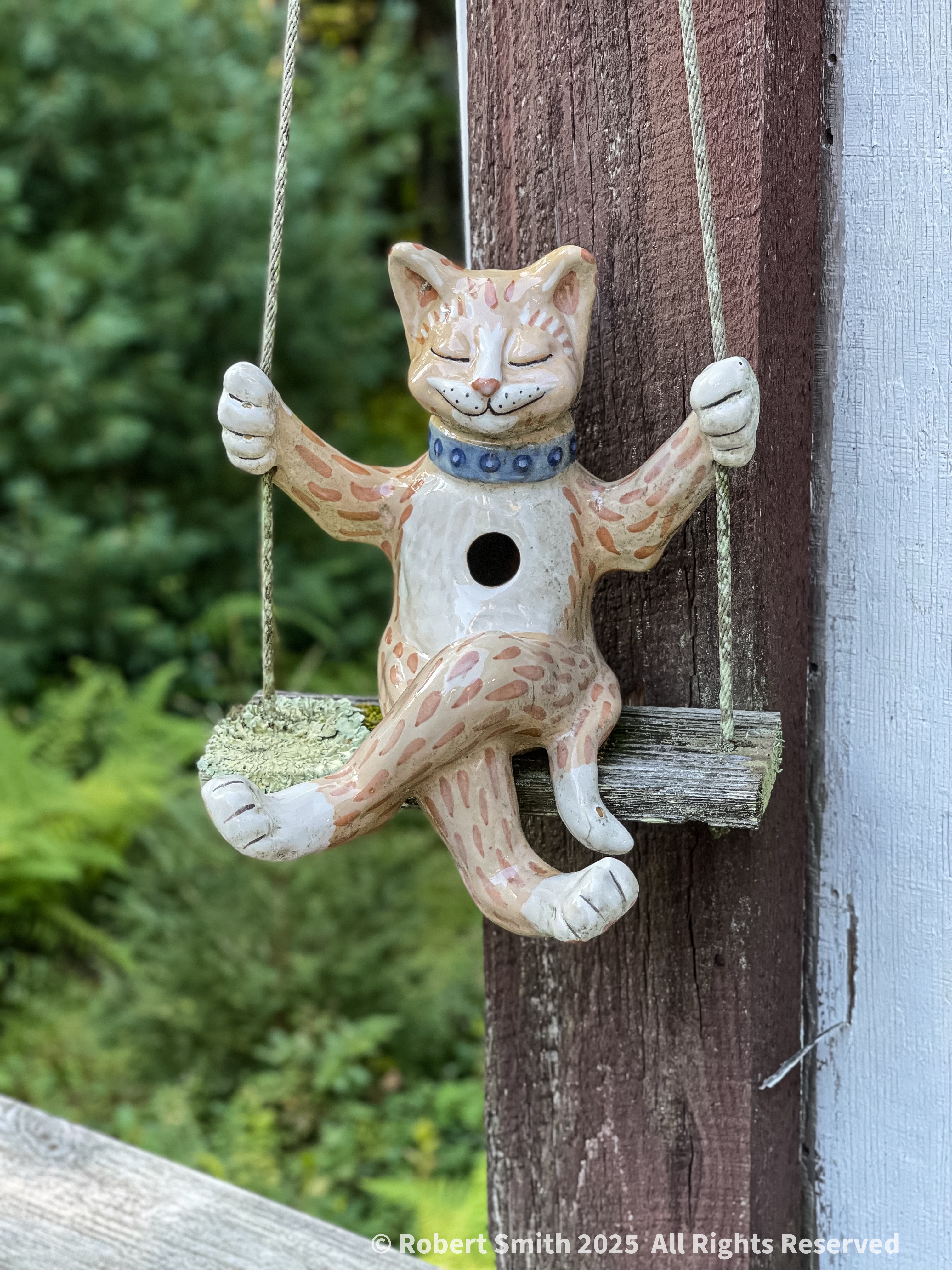 Zen Kitty on a Swing