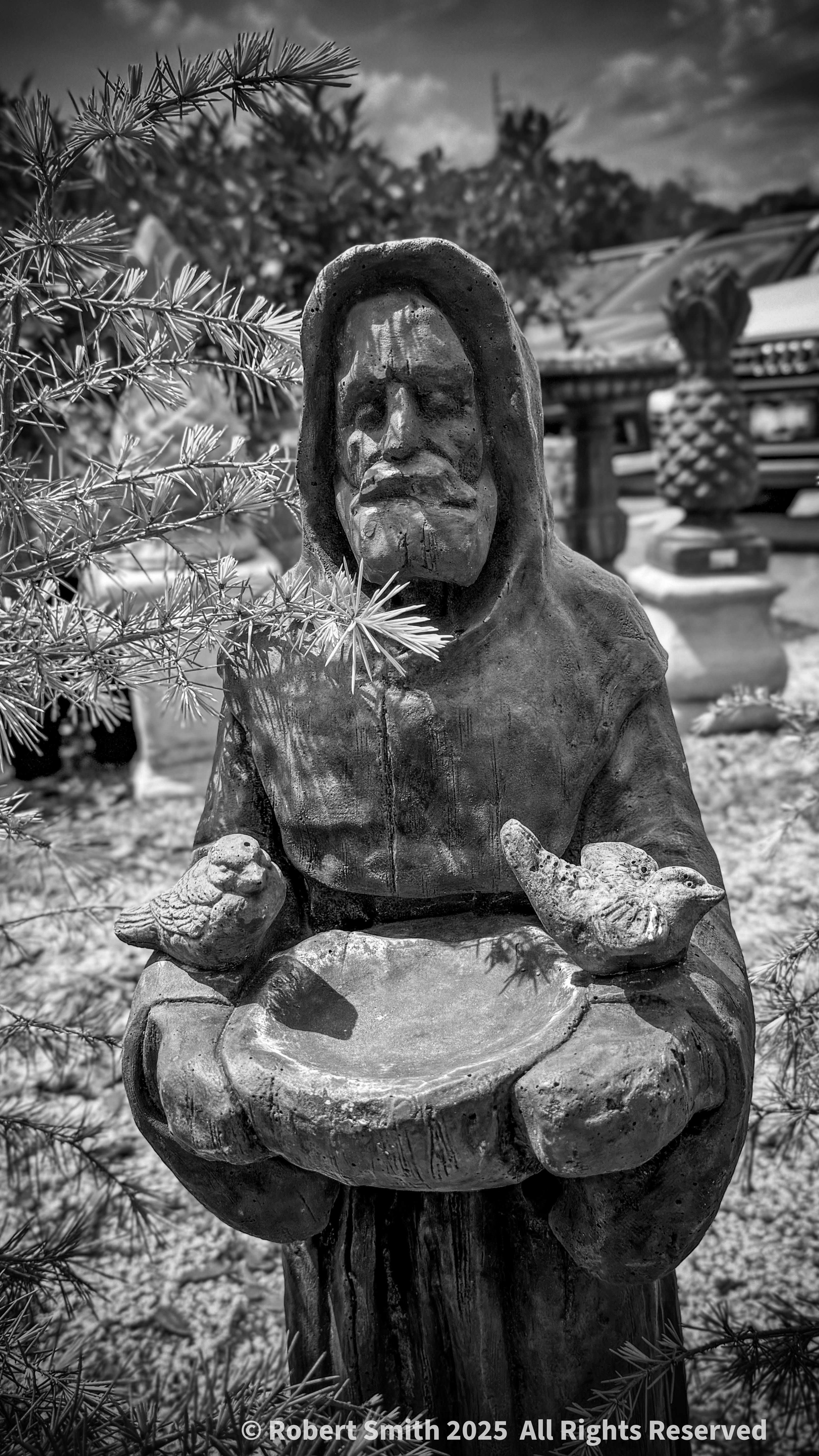 St Francis in Monochrome