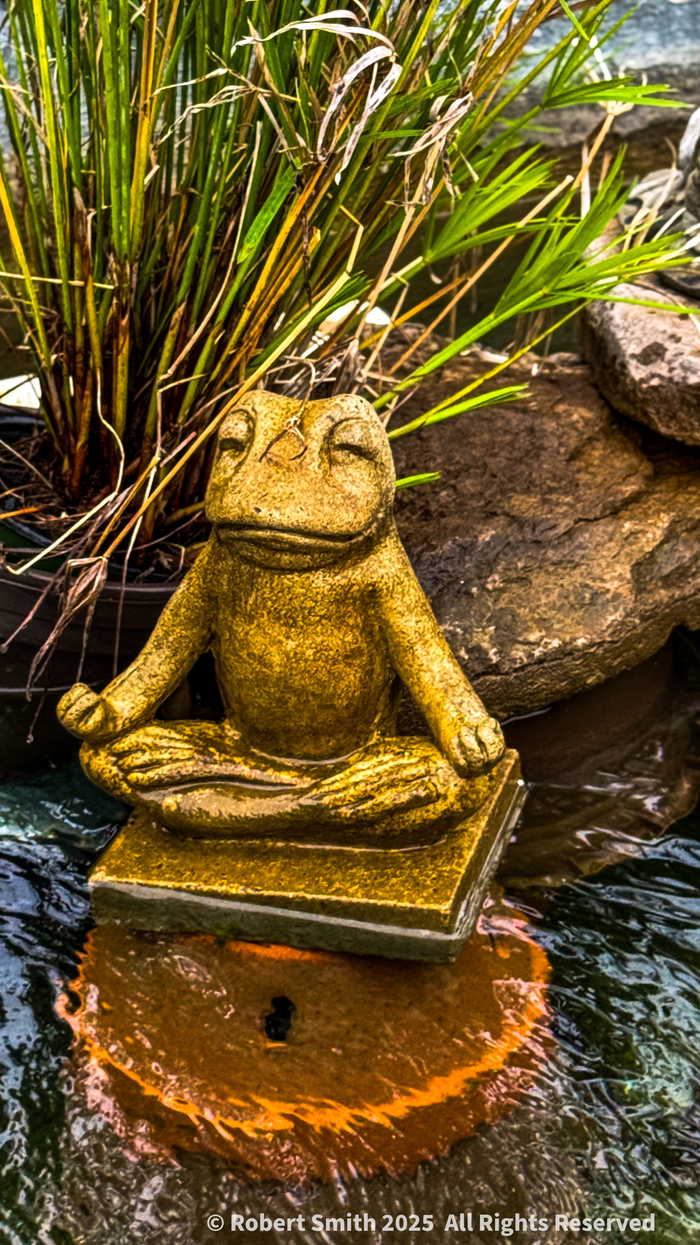 Water, Green and Zen!