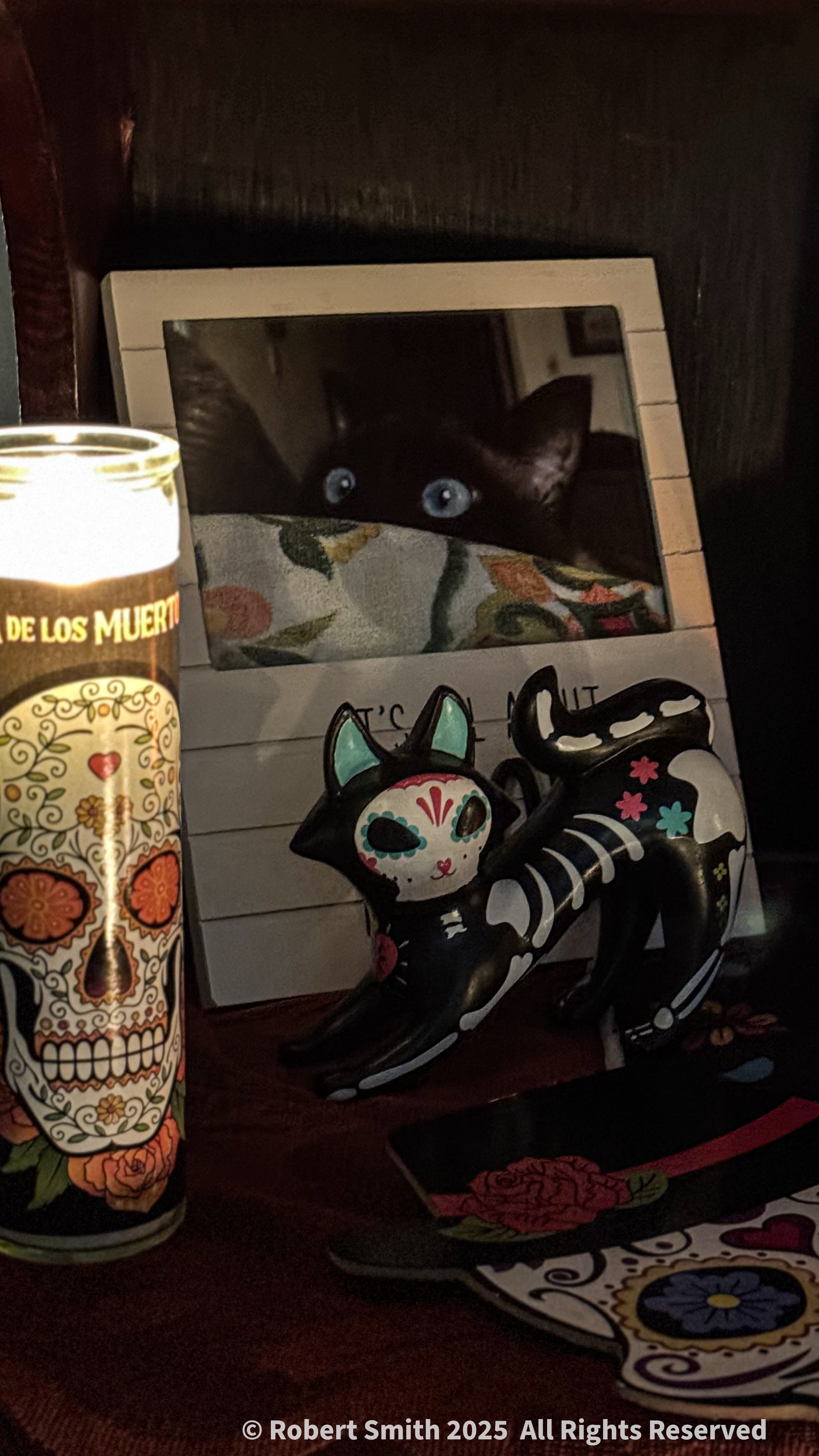 Remembering Boopers: Dia de Muertos (Day of the Dead)
