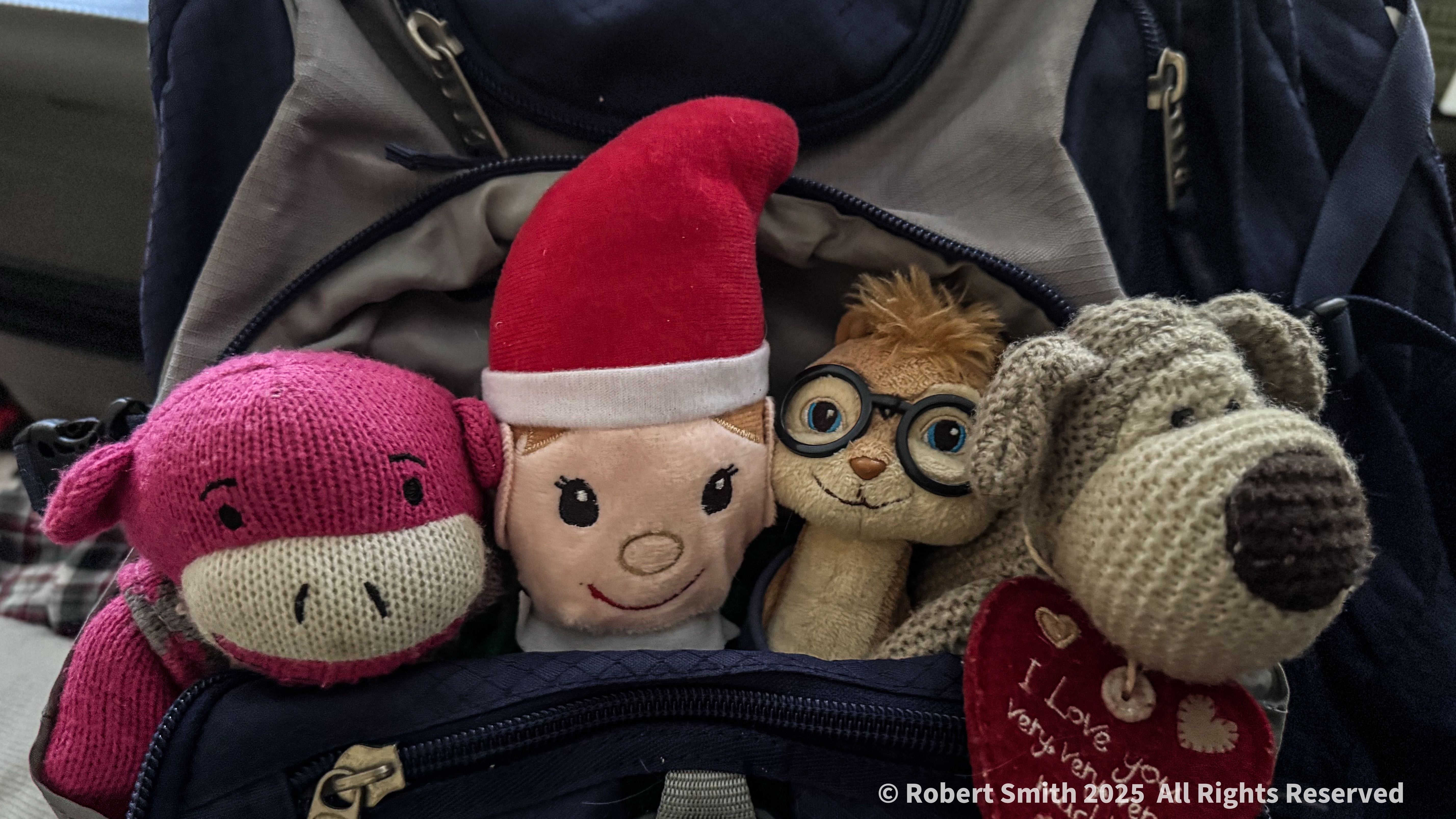 Travel Buddies: Bringing a Friend along!