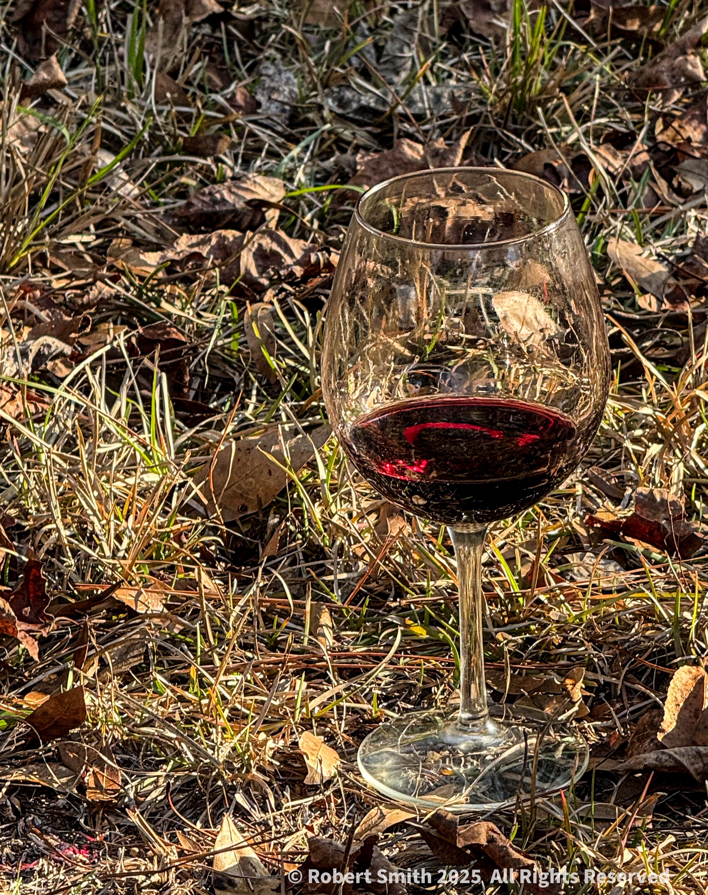 Wine and Friends on the Farm