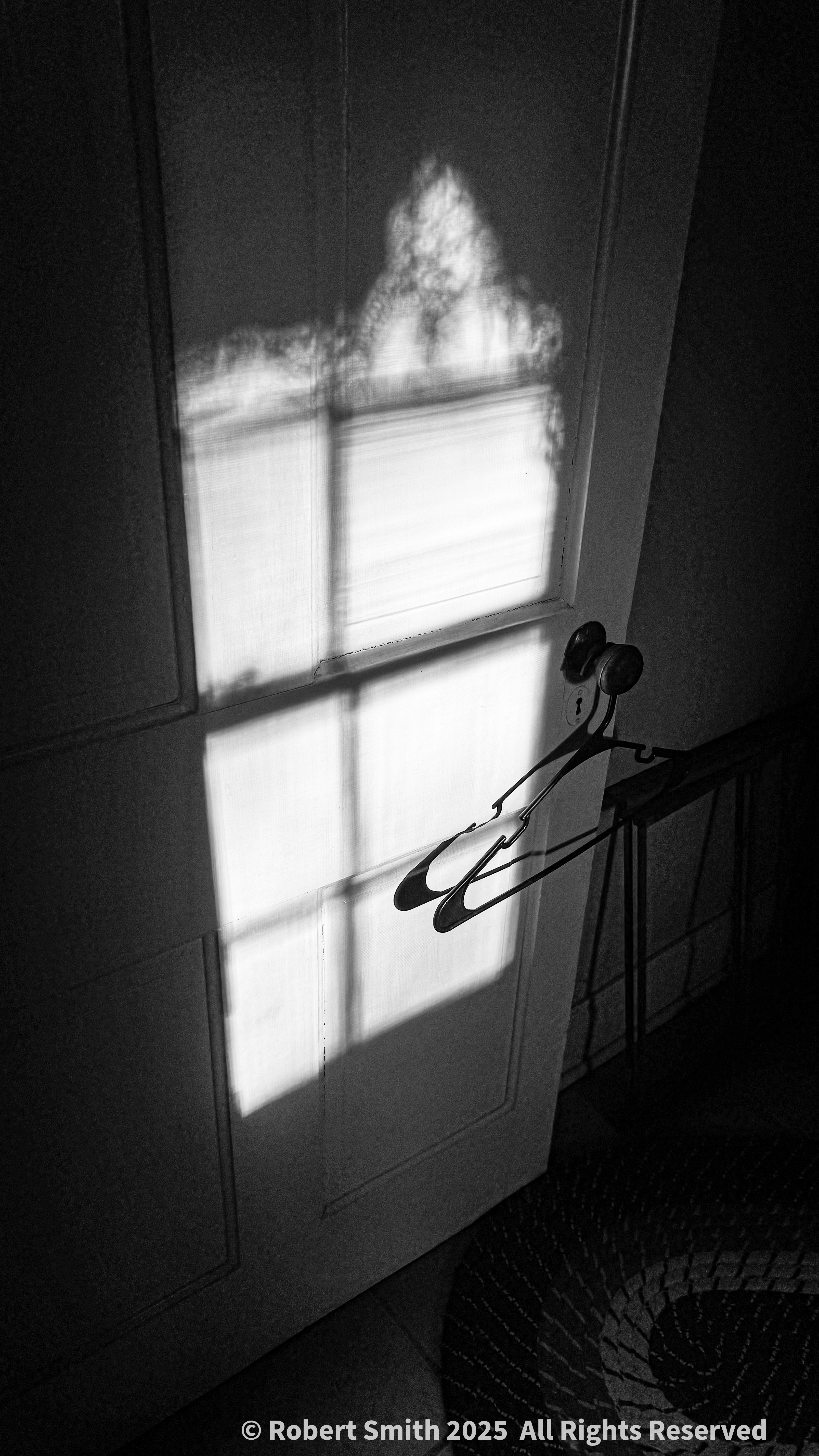 Door, Hanger, Rug in Monochrome