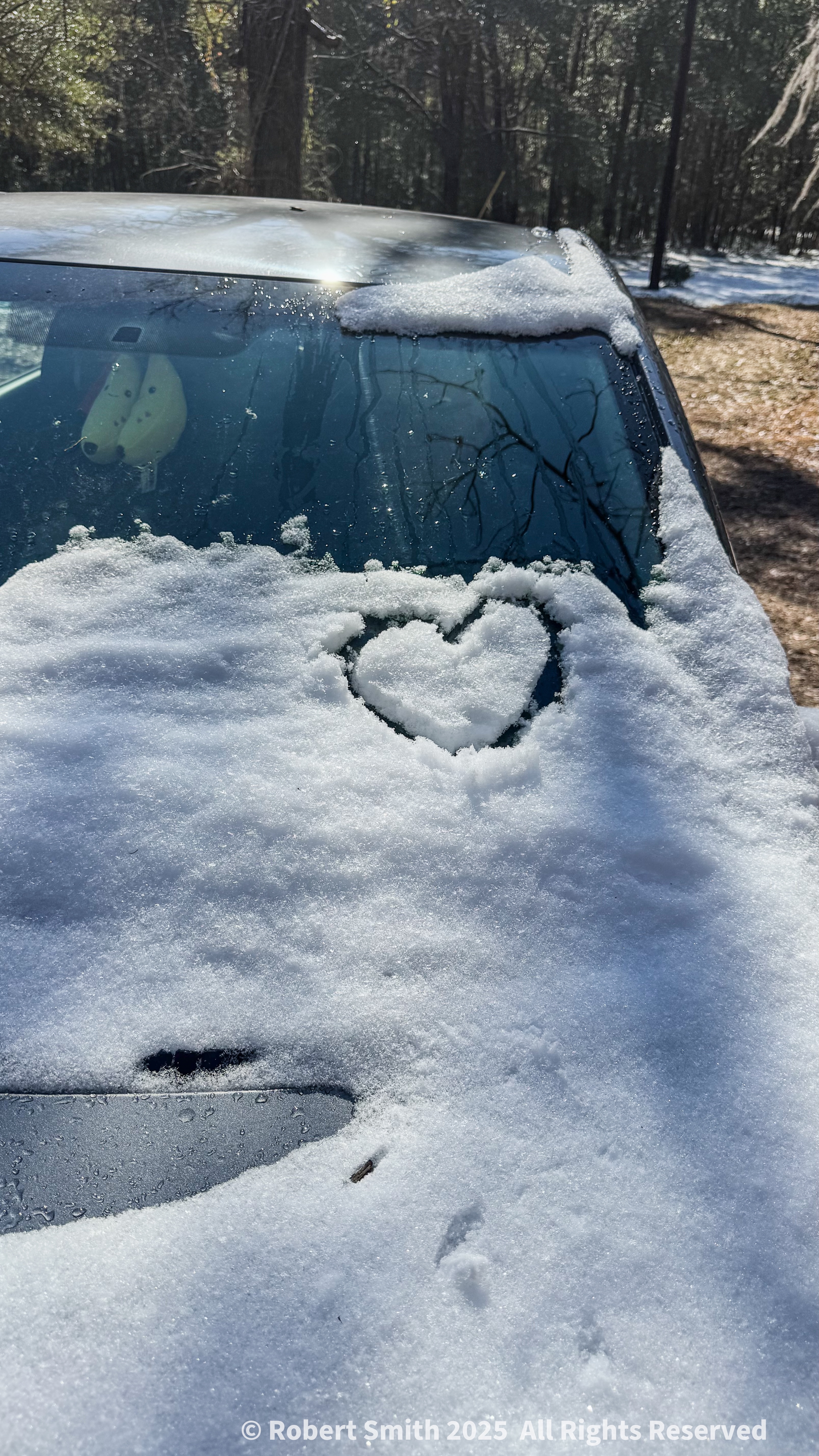 Cars, Love and Snow