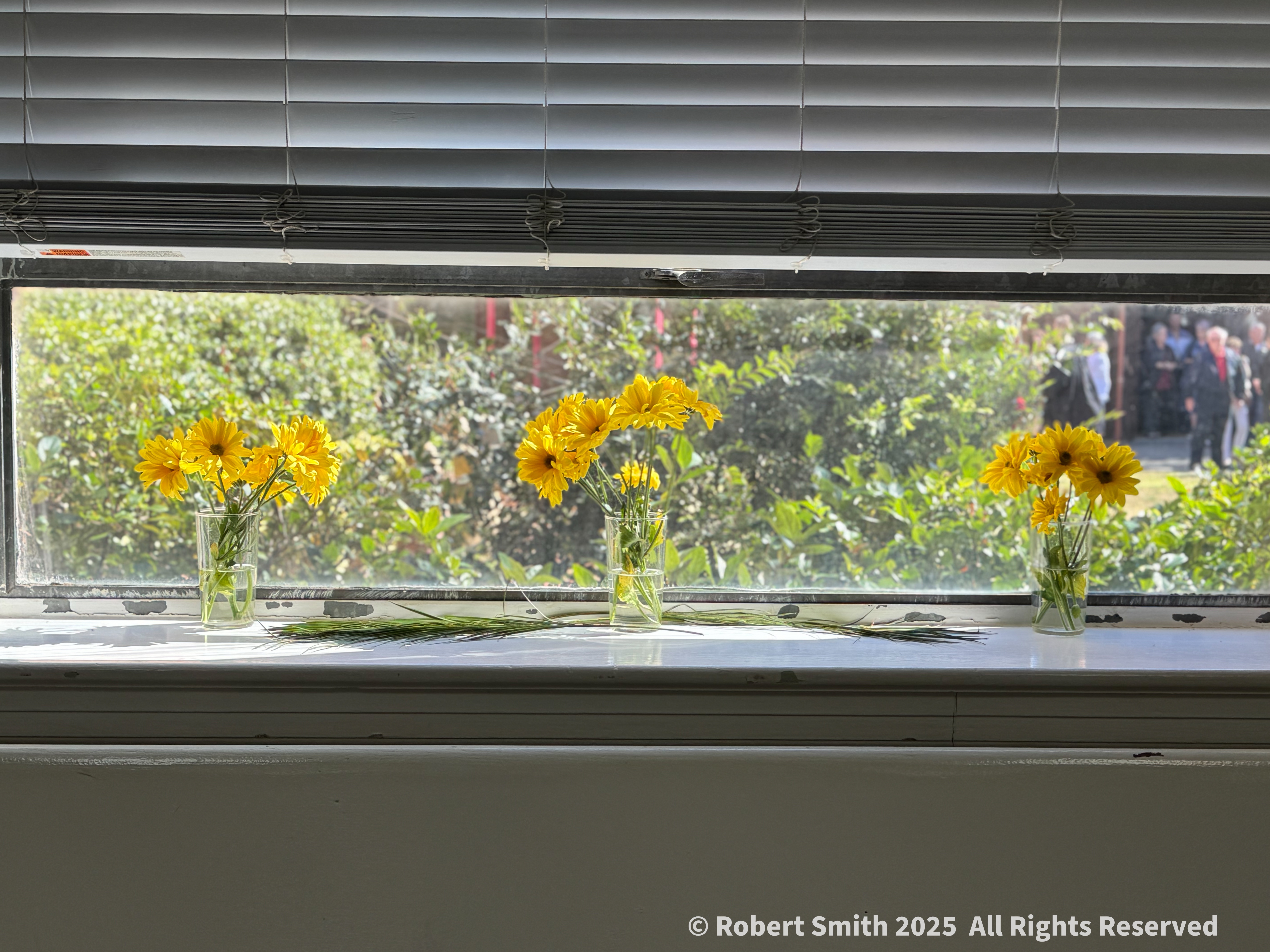 Sunday Flowers: Daisy Kind of Day at Asbury