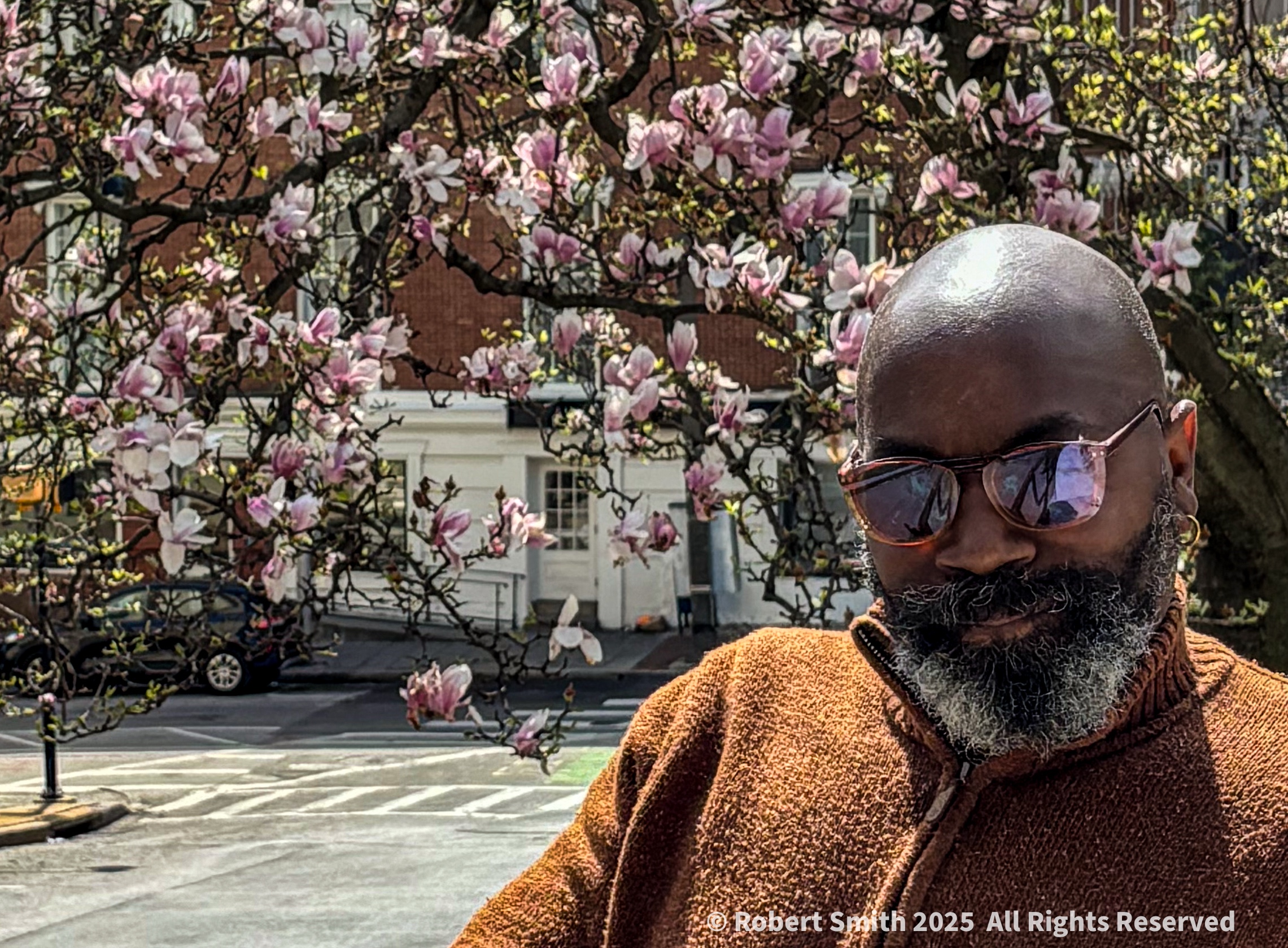 Portraits of Me: Blossom Now