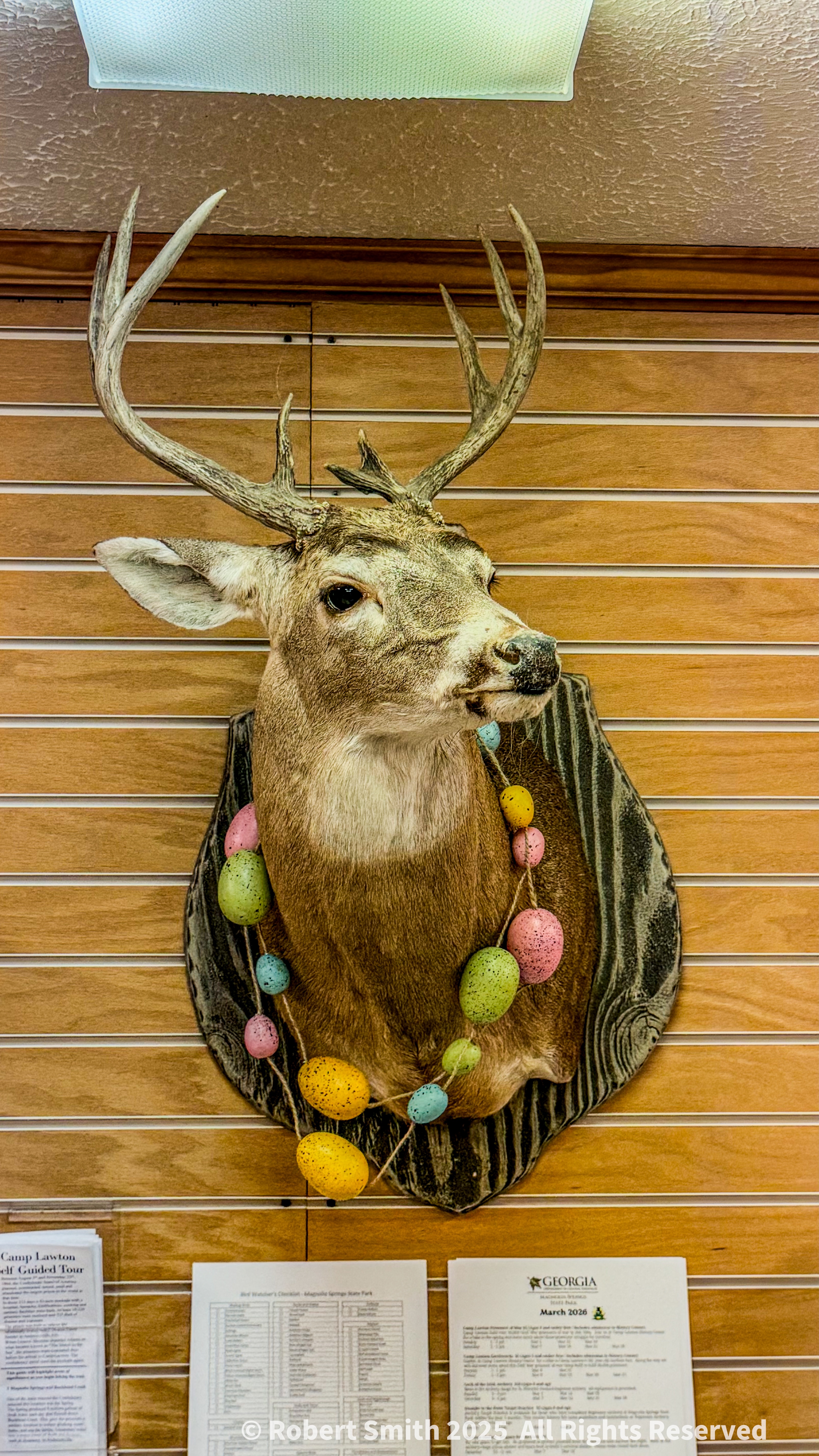 Don’t Pass the Buck, Easter is Coming