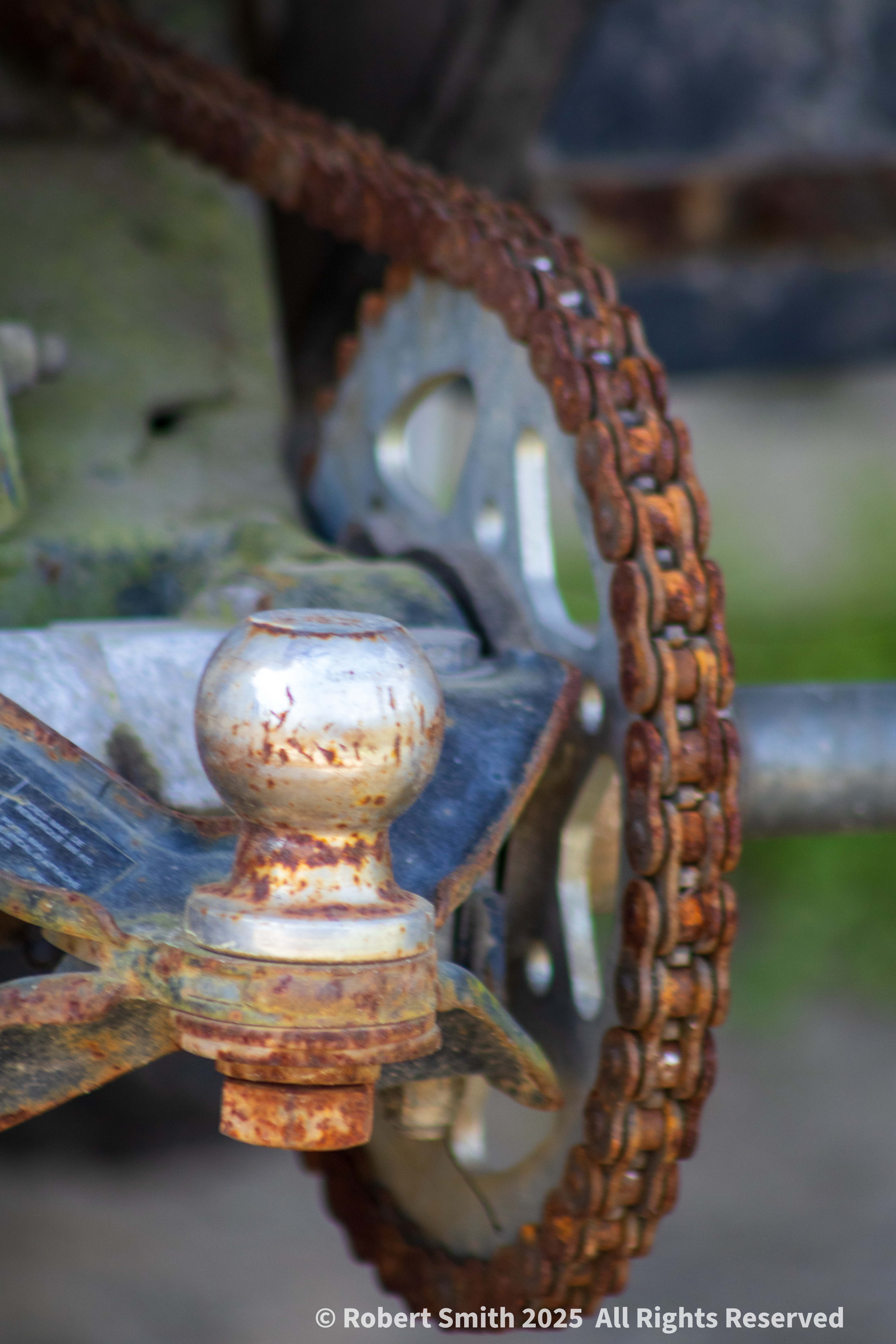 Rusted at Hunter Cattle Farm