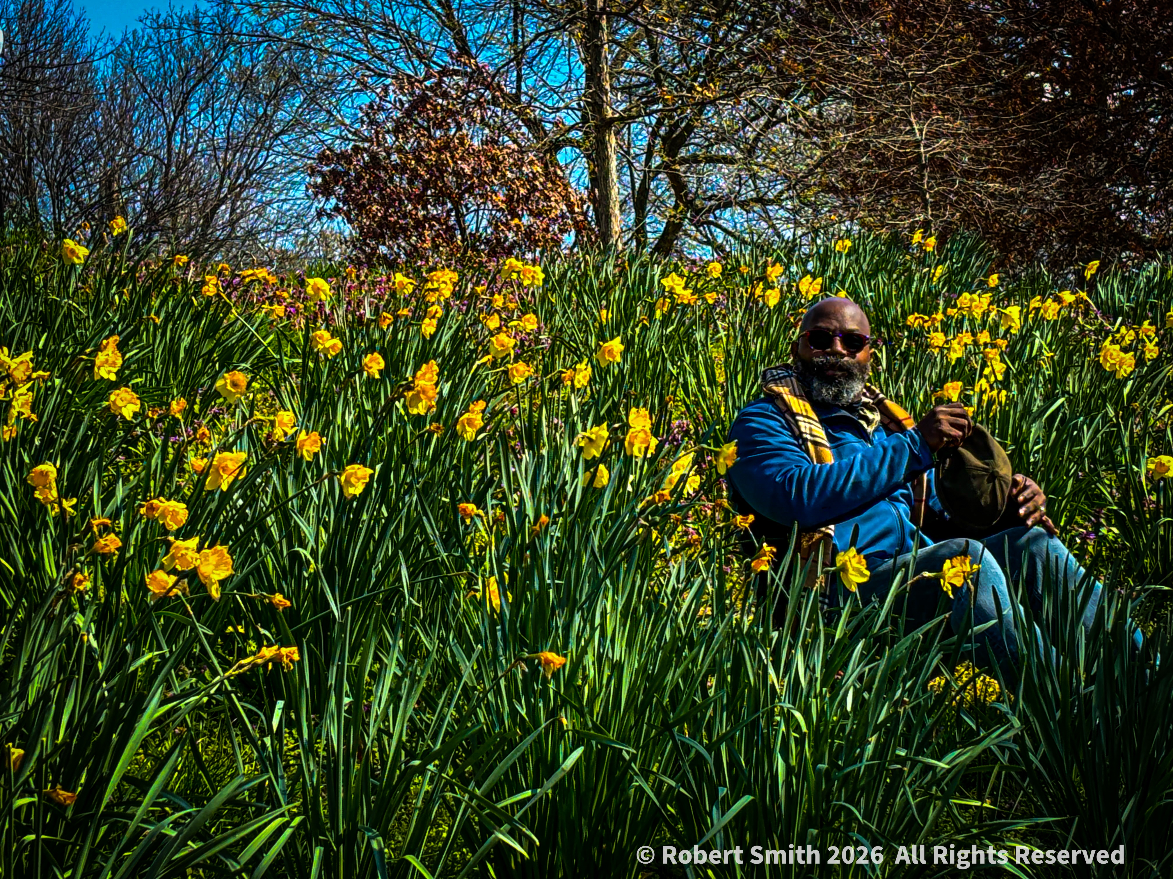 A man sitting on a hill in a park, surrounded by yellow daffodils