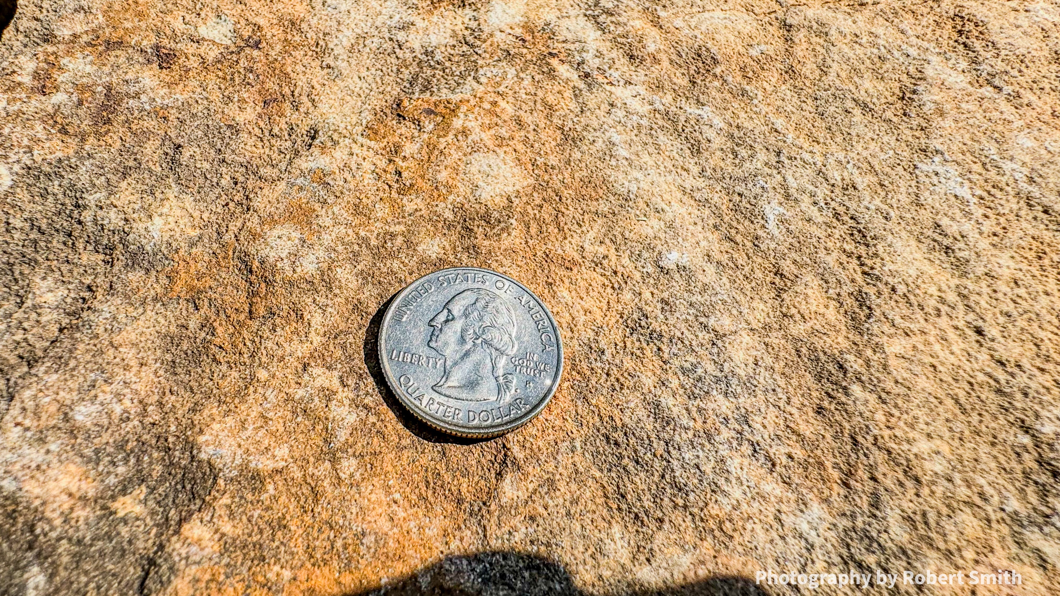 Close-up of a U.S. quarter lying on a textured orange-brown rock in bright sunlight.
