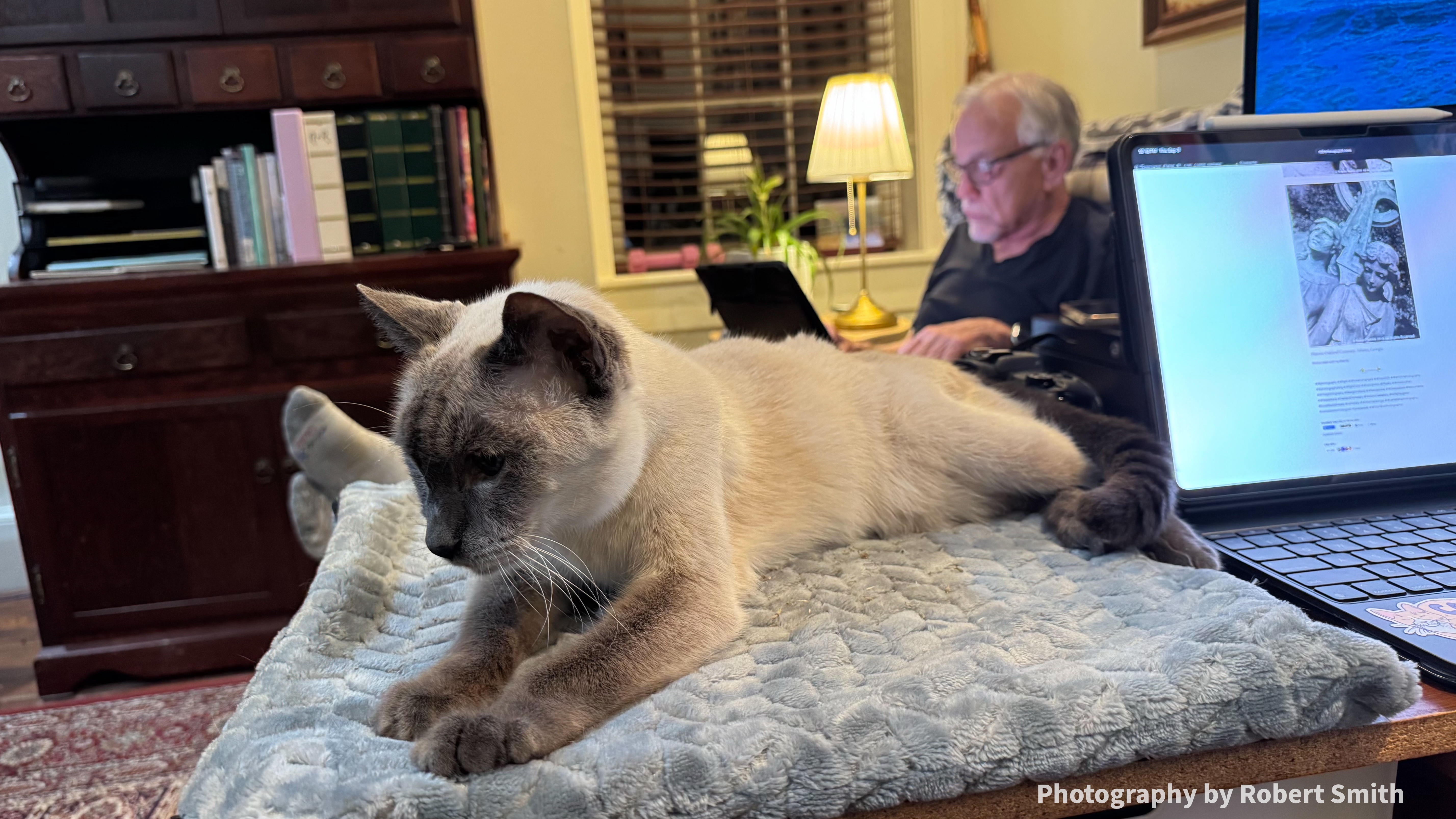 Rambunctious Play, and Relaxing Perch