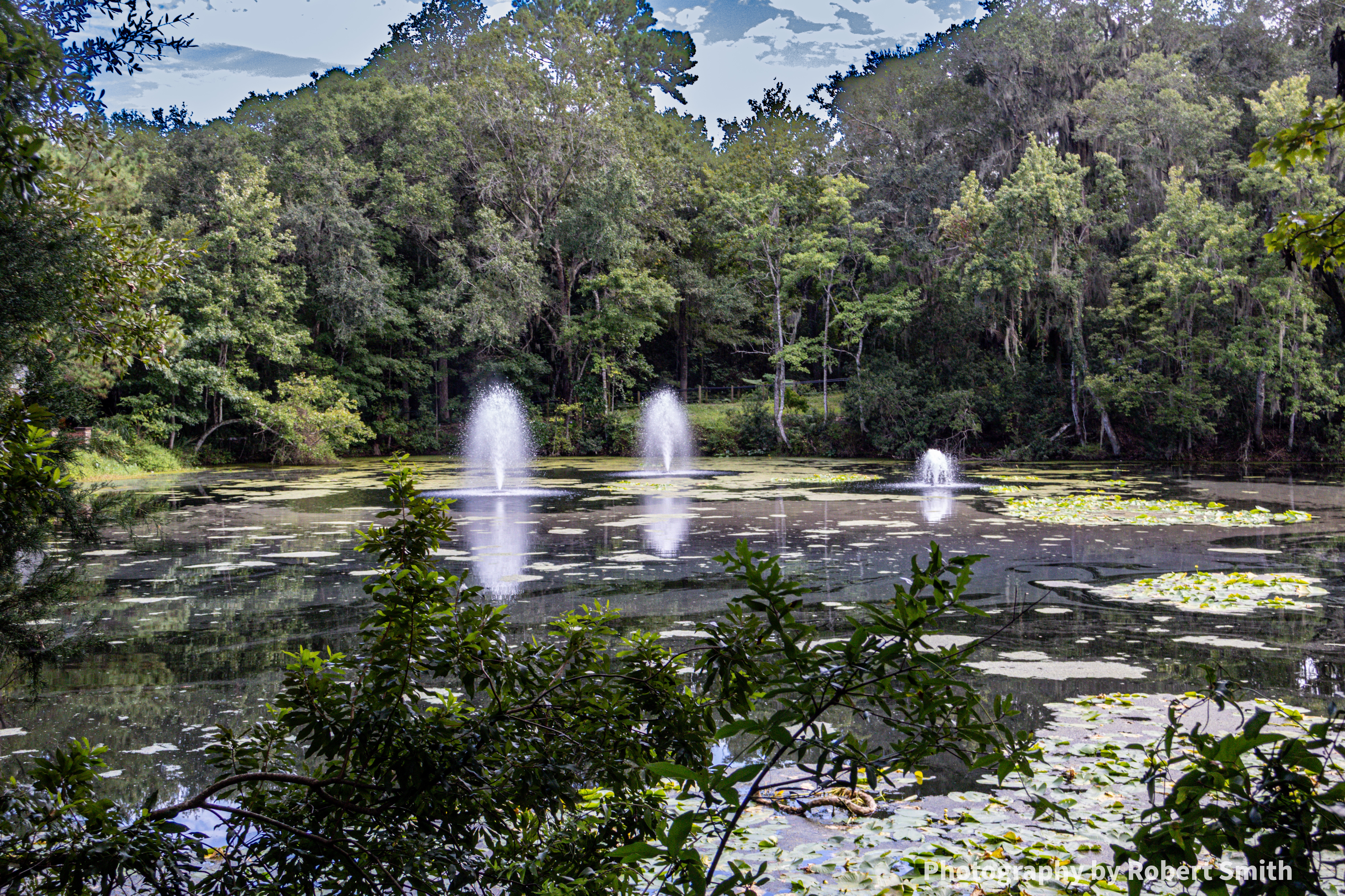 Fountains at an Arboretum