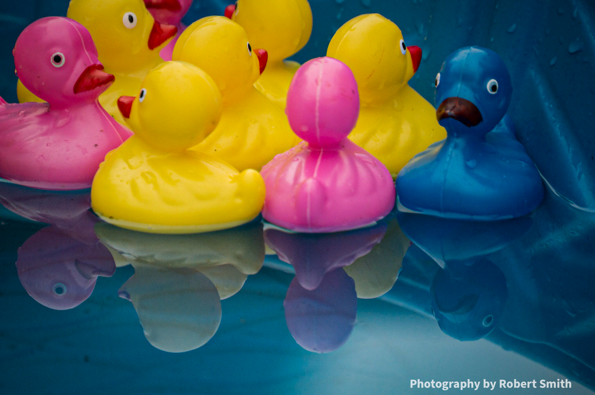 The Look Back: Kiddy Pool (Match a Duck)