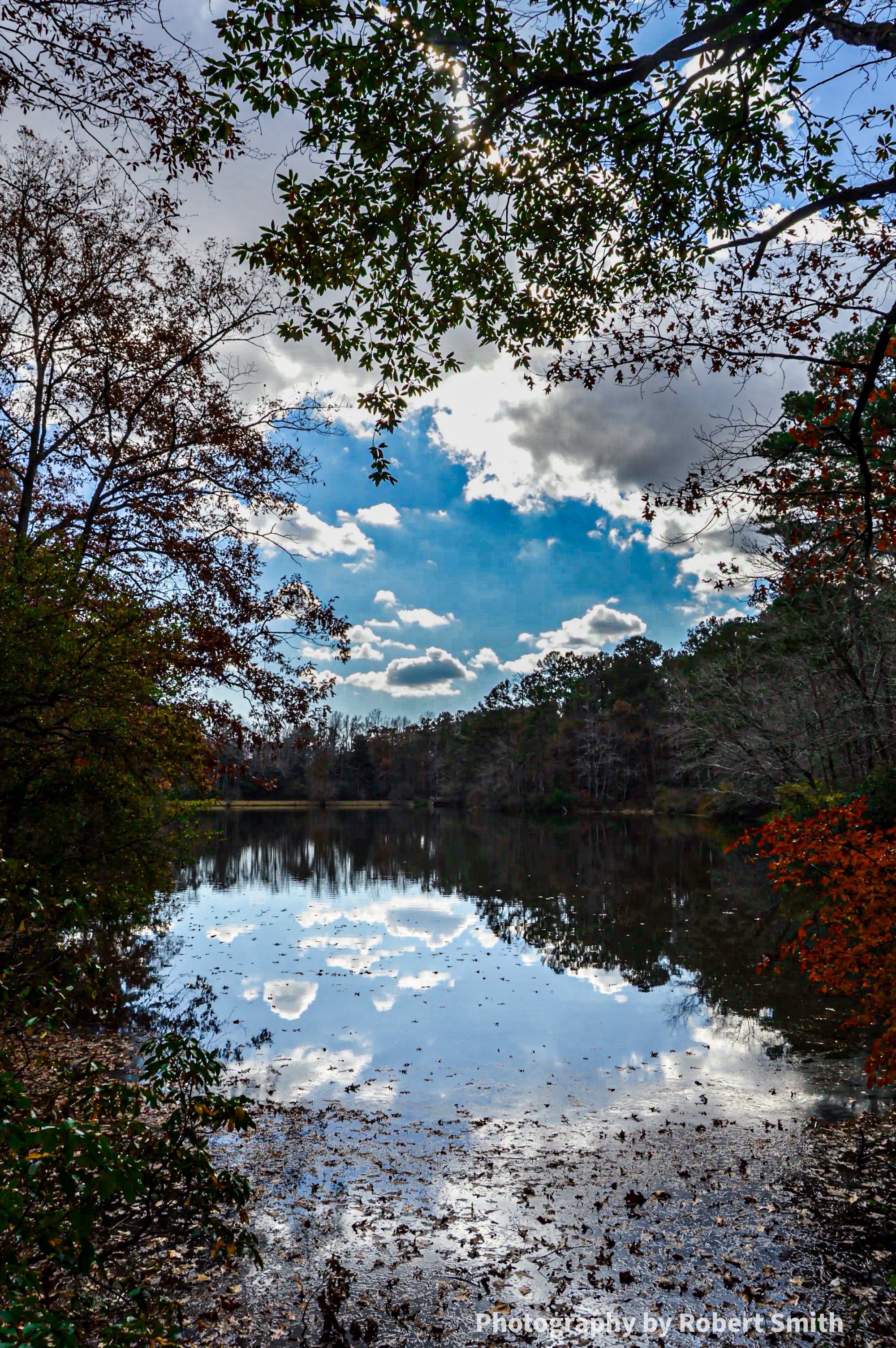 Overhanging branches frame blue sky and white clouds reflected in Falls Creek Lake, with wooded banks and fallen leaves scattered across the water.